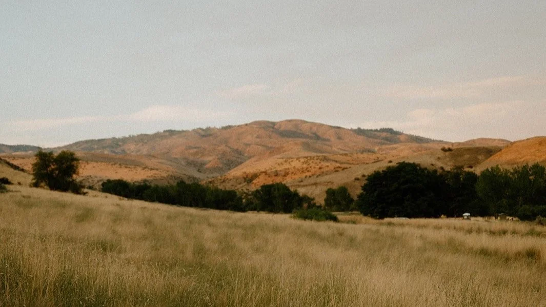 On Pausing, Returning and Starting Again