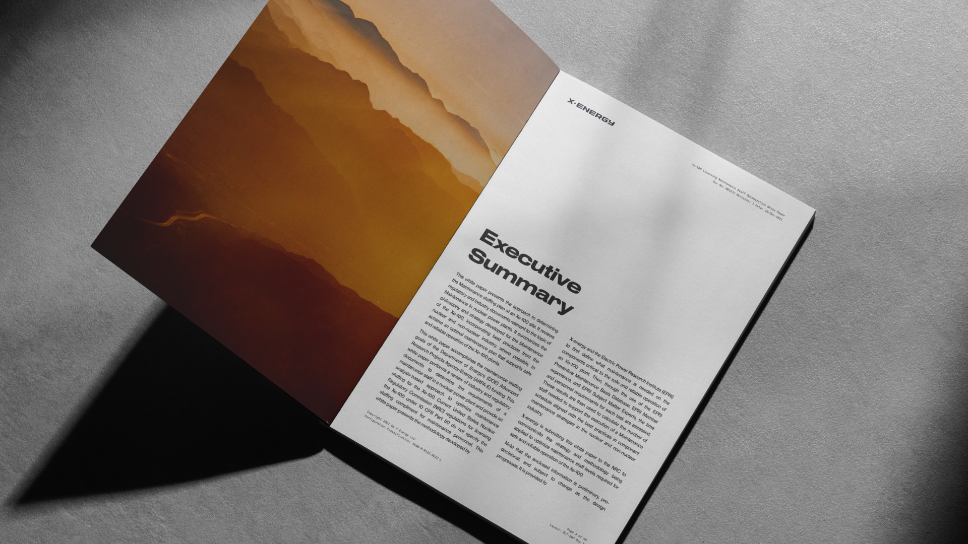 An open document titled 'Executive Summary' on a gray surface, with a colorful landscape image on the left page and text on the right page.