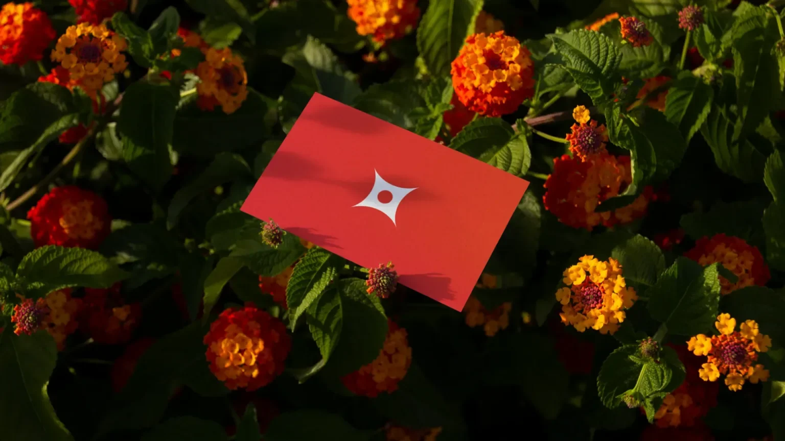 Bright orange and yellow lantana flowers and green leaves in a garden