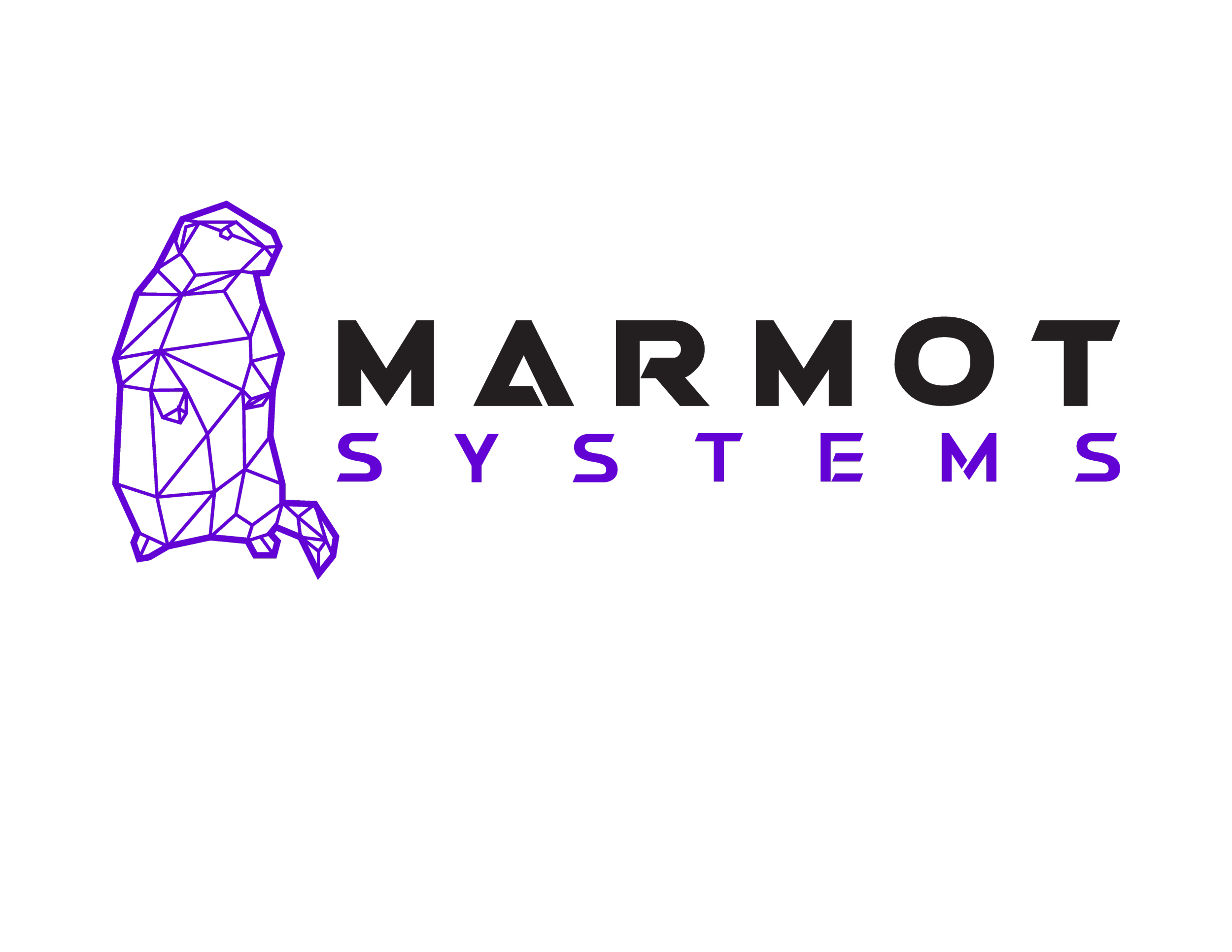 Marmot Systems