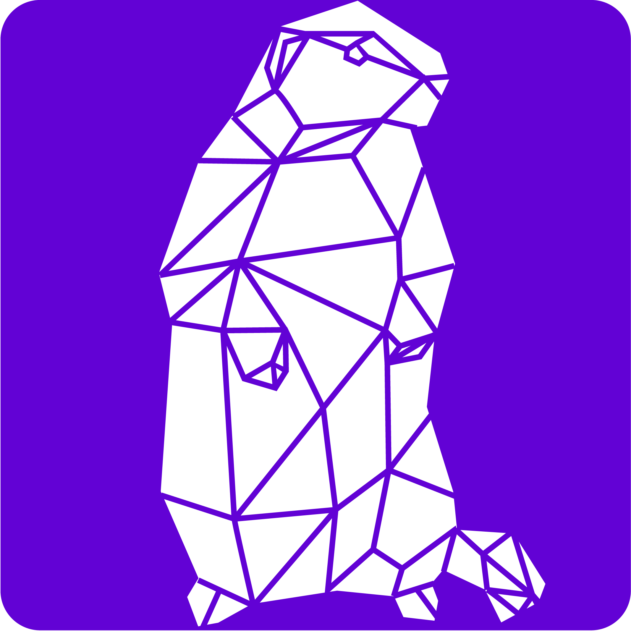 App icon variation