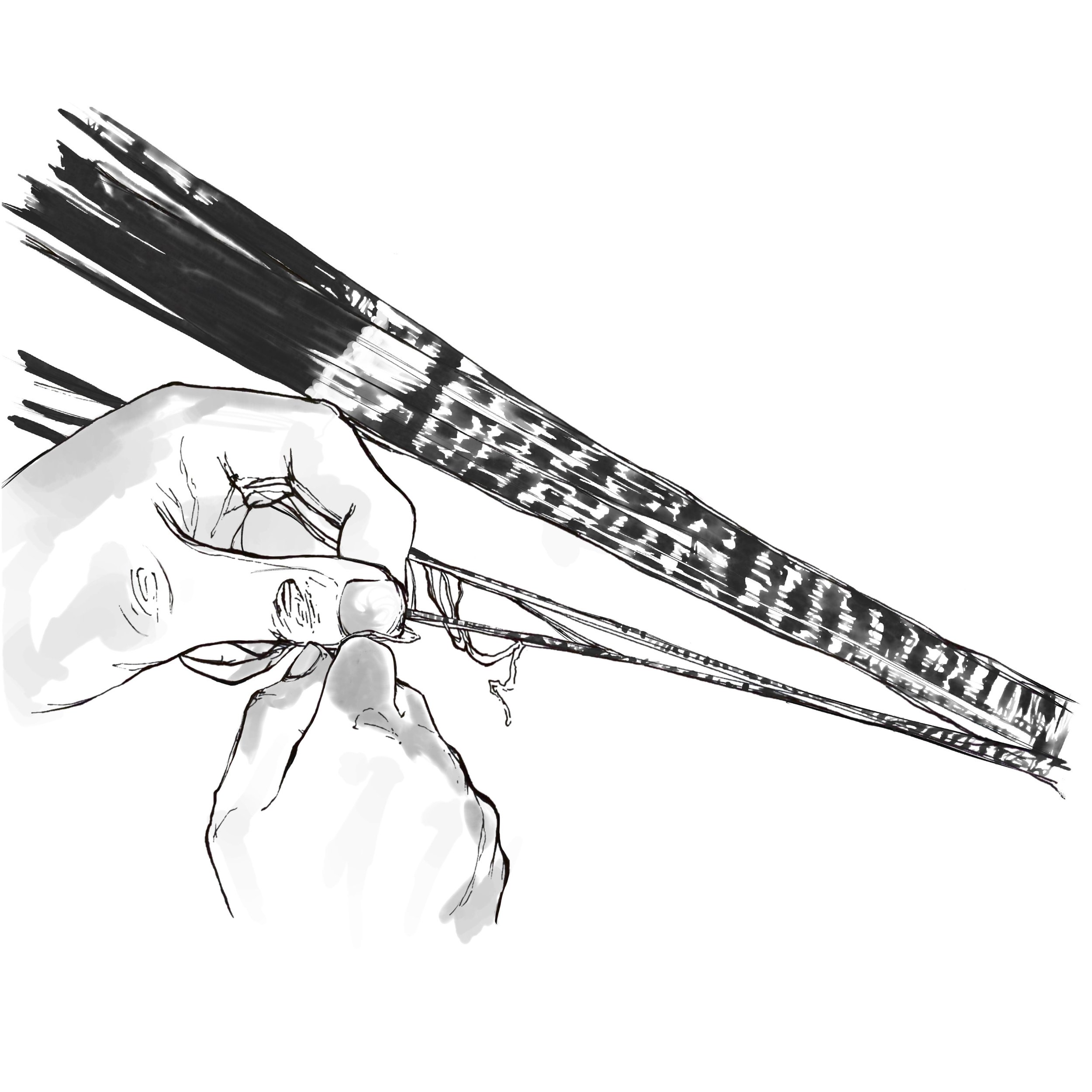 Freelance Illustration- Apuntado_ Arrangement and distribution of tied design.final 2.jpeg