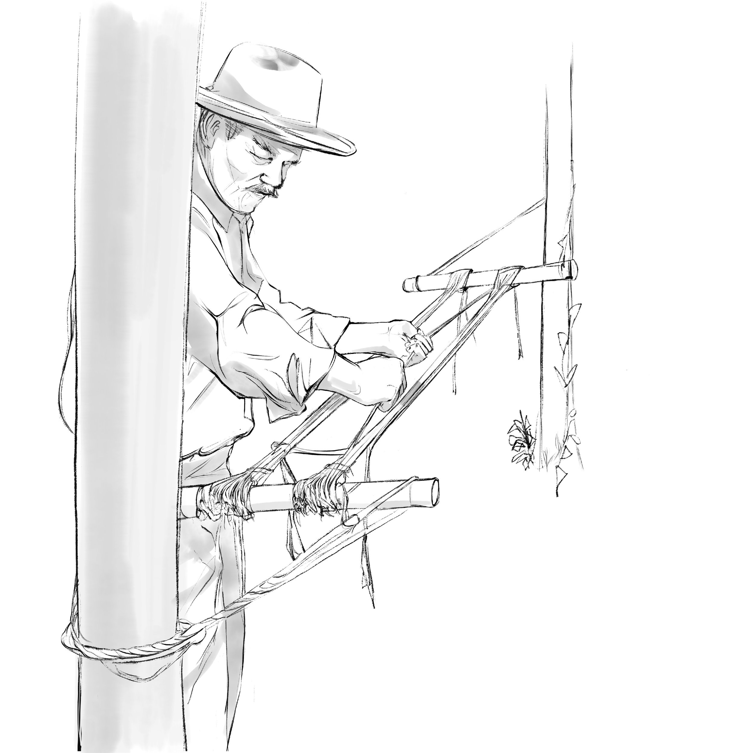 Freelance Illustration.jpeg