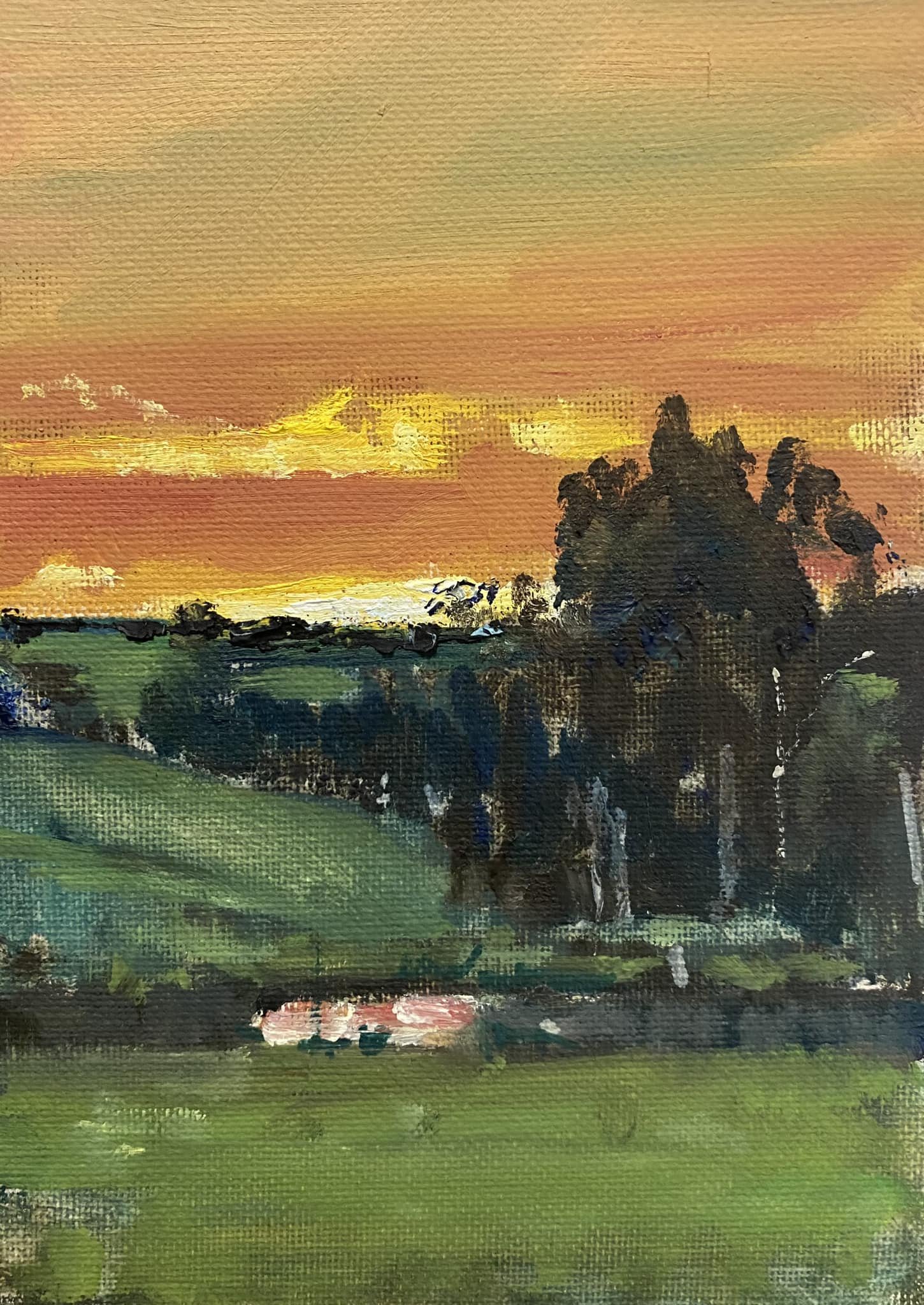 Pennyroyal sunset  5x7 Oil on Canvas Sold