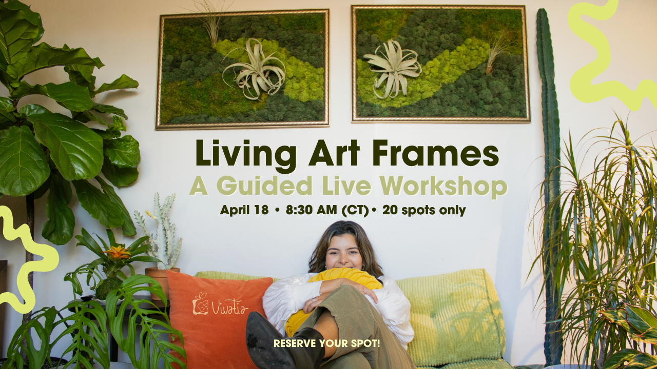 Living Art Frames: A Guided Live Workshop