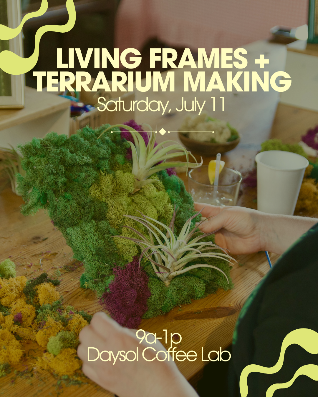Living Art Frames + Desert Terrariums at Daysol Coffee Lab