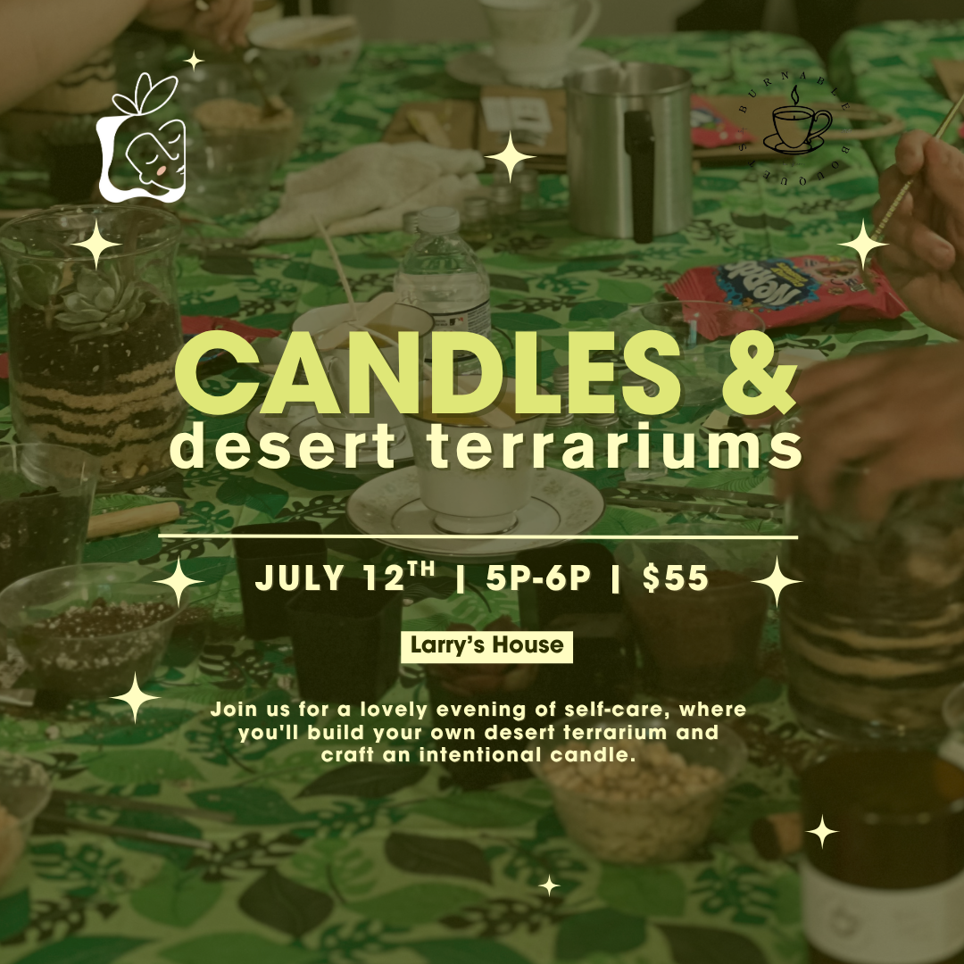 Candles & Desert Terrariums