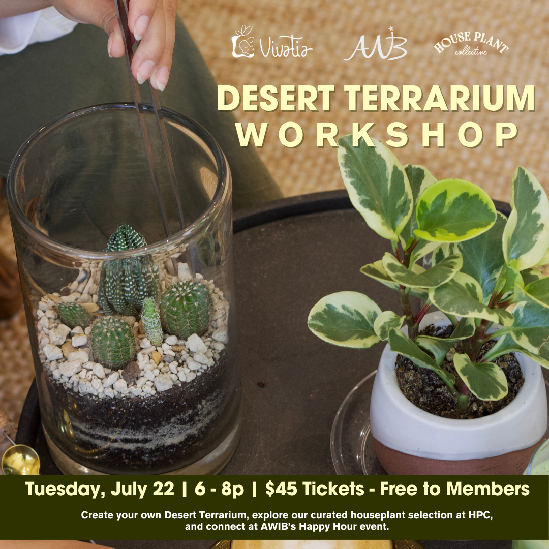 Desert Terrarium Workshop X AWIB