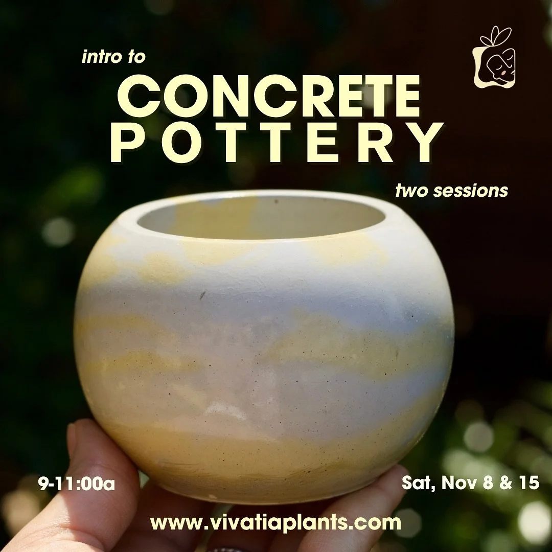 Create handmade gifts for the holidays✨ Join us for Intro to Concrete Pottery at @house.plant.collective on Saturday, November 8 and 15!! 

Two wonderful sessions where you&rsquo;ll learn
🌿Cement basics, coloring with pigments, pouring your first ba