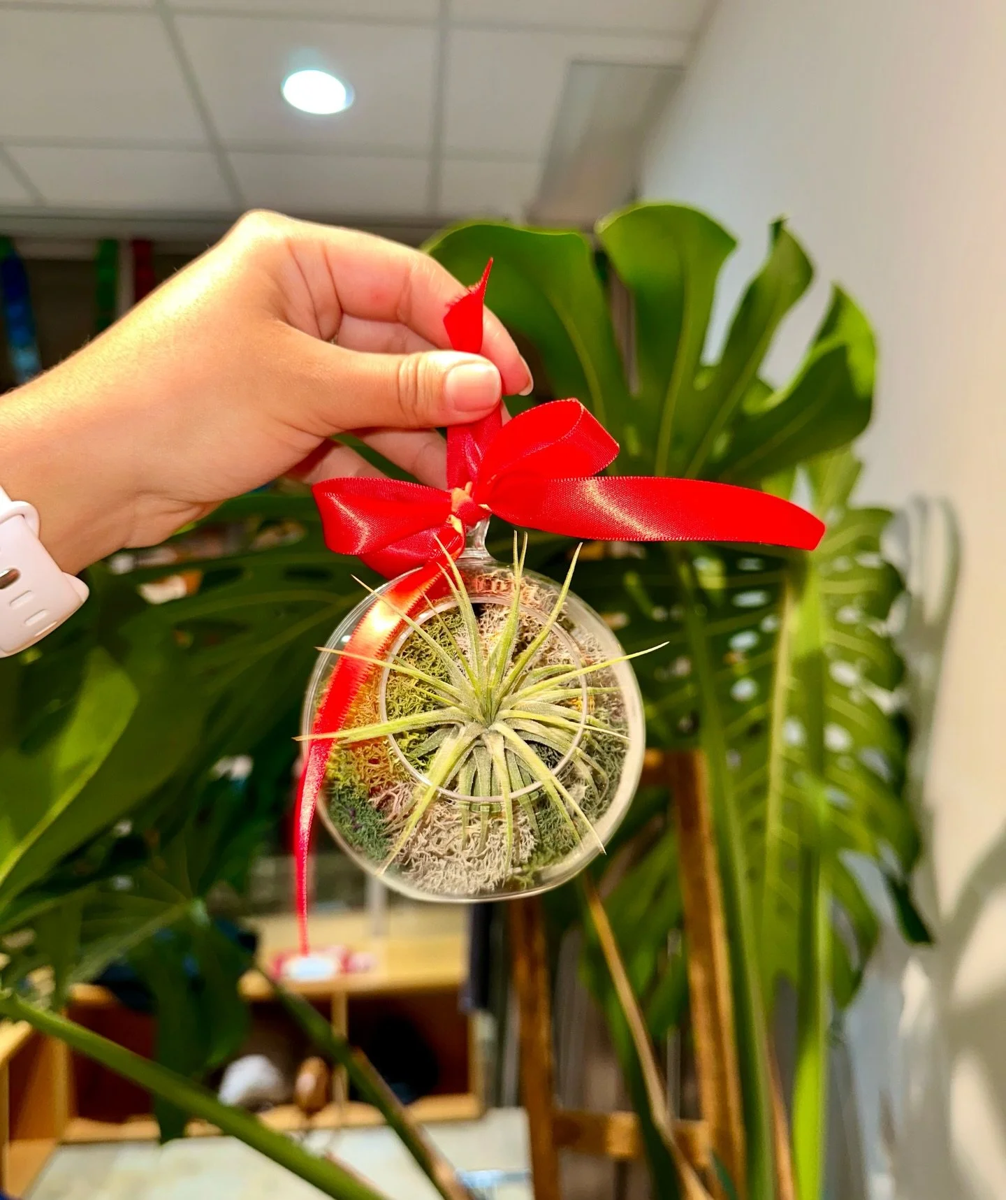 Loved hosting a corporate holiday workshop for @barre3birmingham ✨ I&rsquo;m so happy with everything you created!

Need a last-minute booking? We&rsquo;ve got you 😉

#ornament #diy #workshop #terrarium #cacti #succulents #airplants