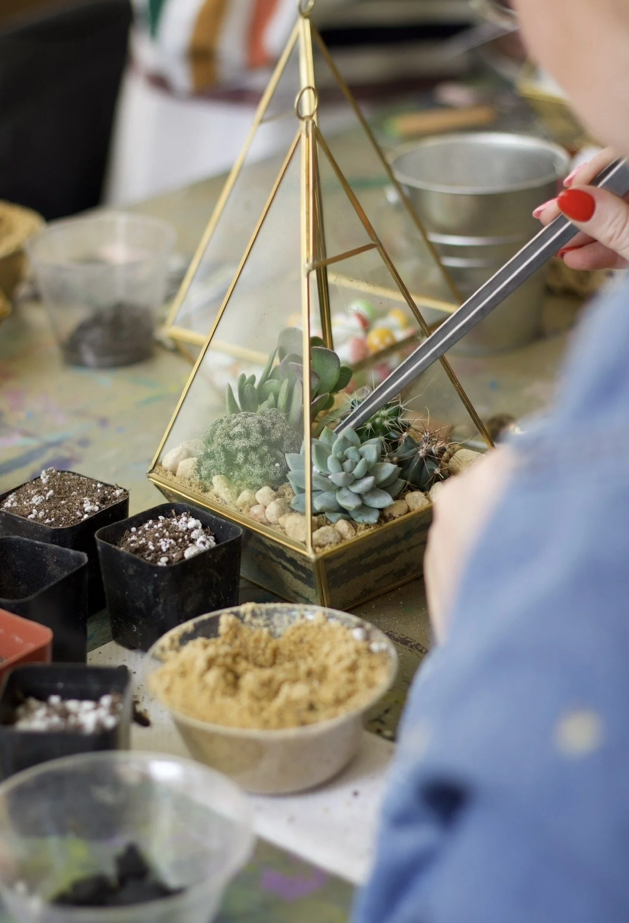 Pressed Flower Frames & Desert Terrariums 