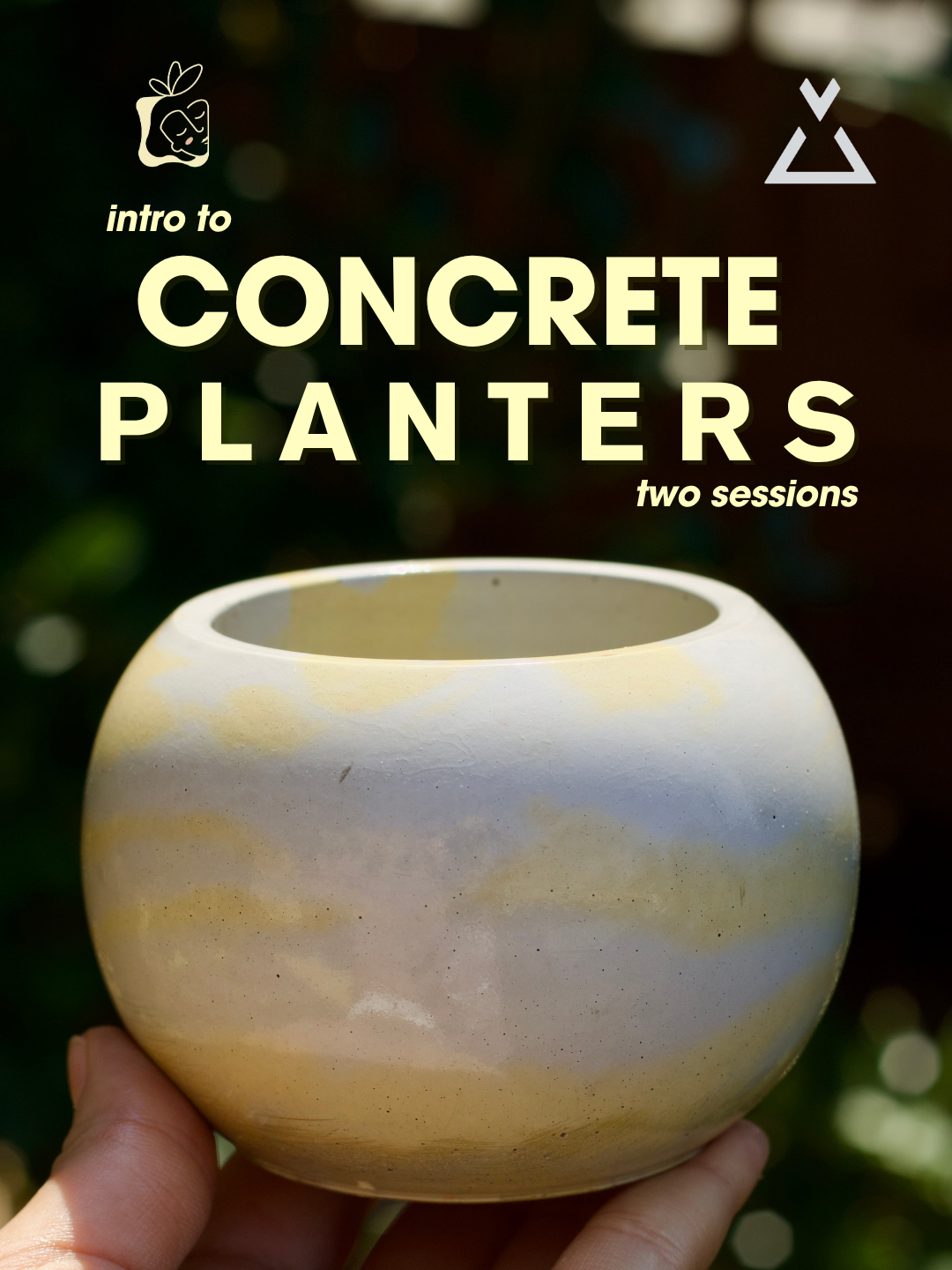 Concrete Planters S2