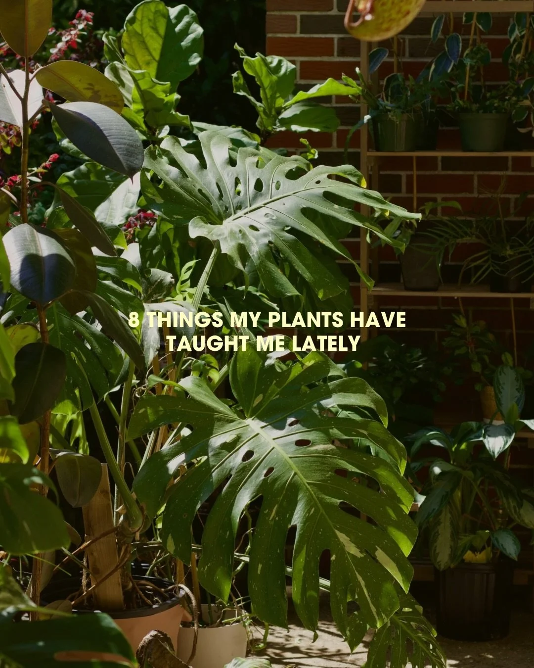 If you can&rsquo;t find the energy to learn something new today, go outside and let nature teach you🧚

Sit, look around&hellip; it knows more than we think 🌞

I keep coming back to this one: you&rsquo;re not meant to thrive all the time🥲✨and that&