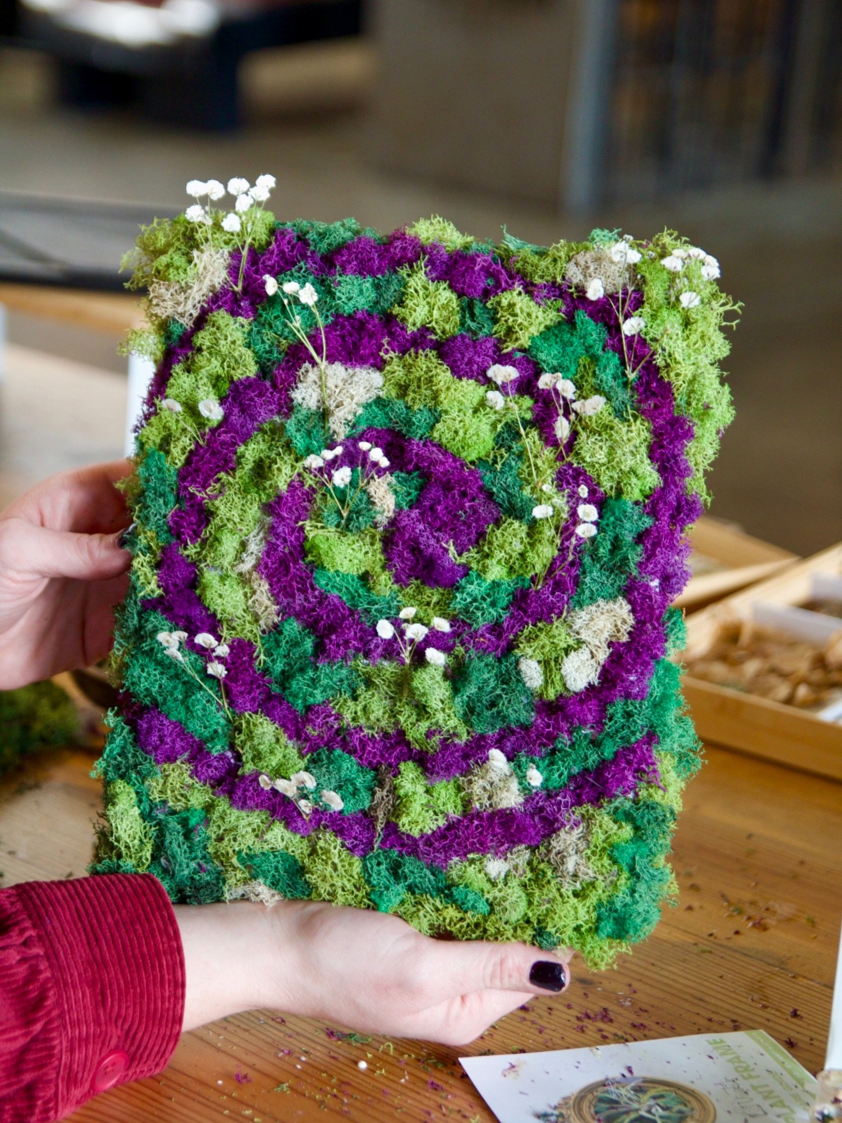 Can&rsquo;t wait to celebrate Pride Summer Party at @house.plant.collective on Saturday, June 6🧚

I&rsquo;ll be hosting Air Plant Framing + Desert Terrarium workshops all day, and we only have a few spots left🌞

Come make something cute, touch dirt
