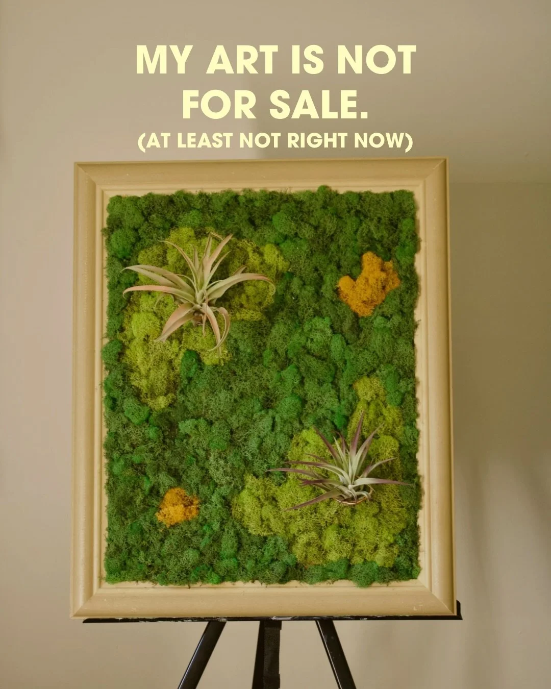 My art is not for sale 🧚✨but I don&rsquo;t really believe in gatekeeping creativity either.

If you&rsquo;ve ever been curious about how these Living Art Frames come to life, there&rsquo;s something new waiting for you in the link in bio 🥹