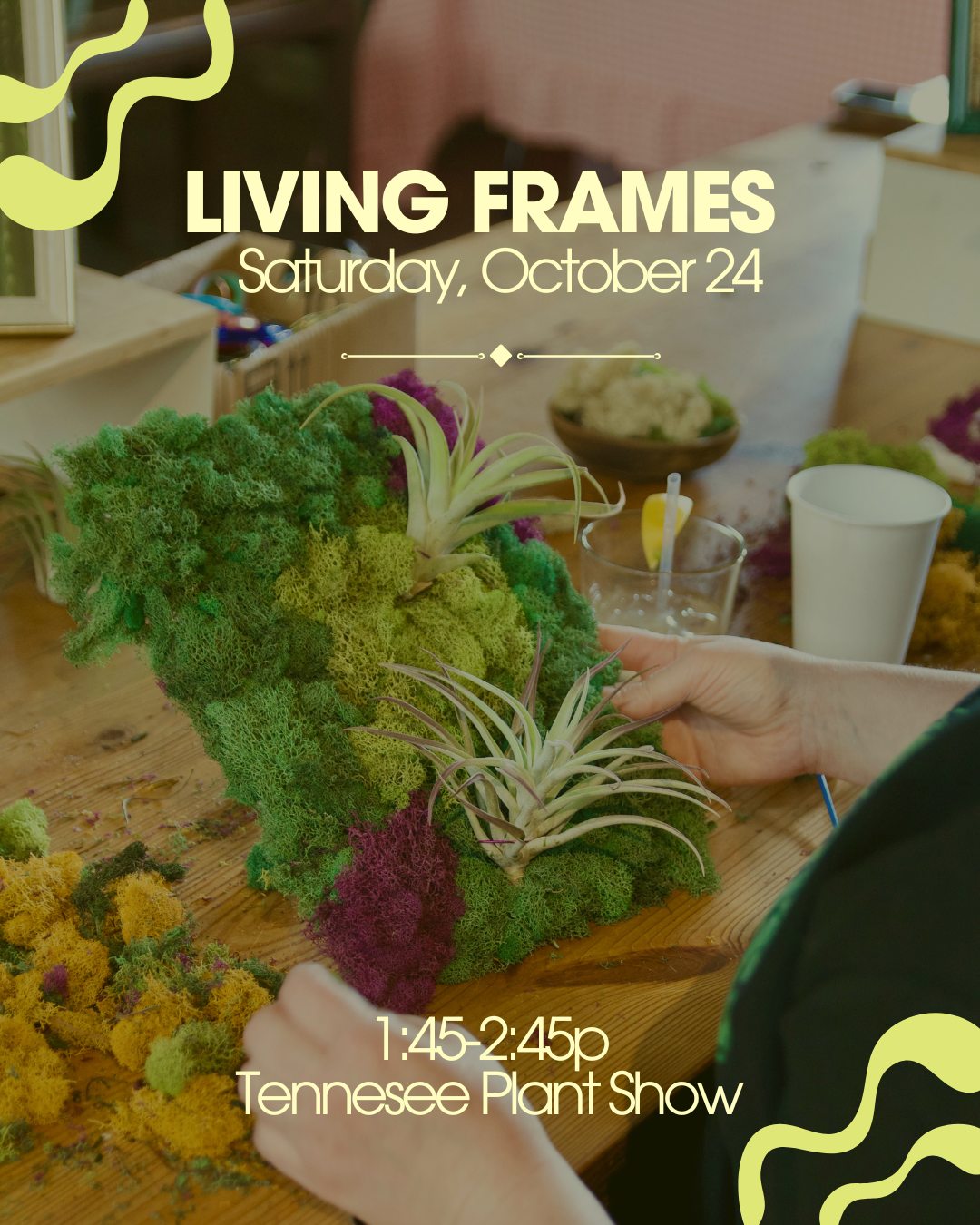 Living Frames Workshop @Tennessee Plant Show