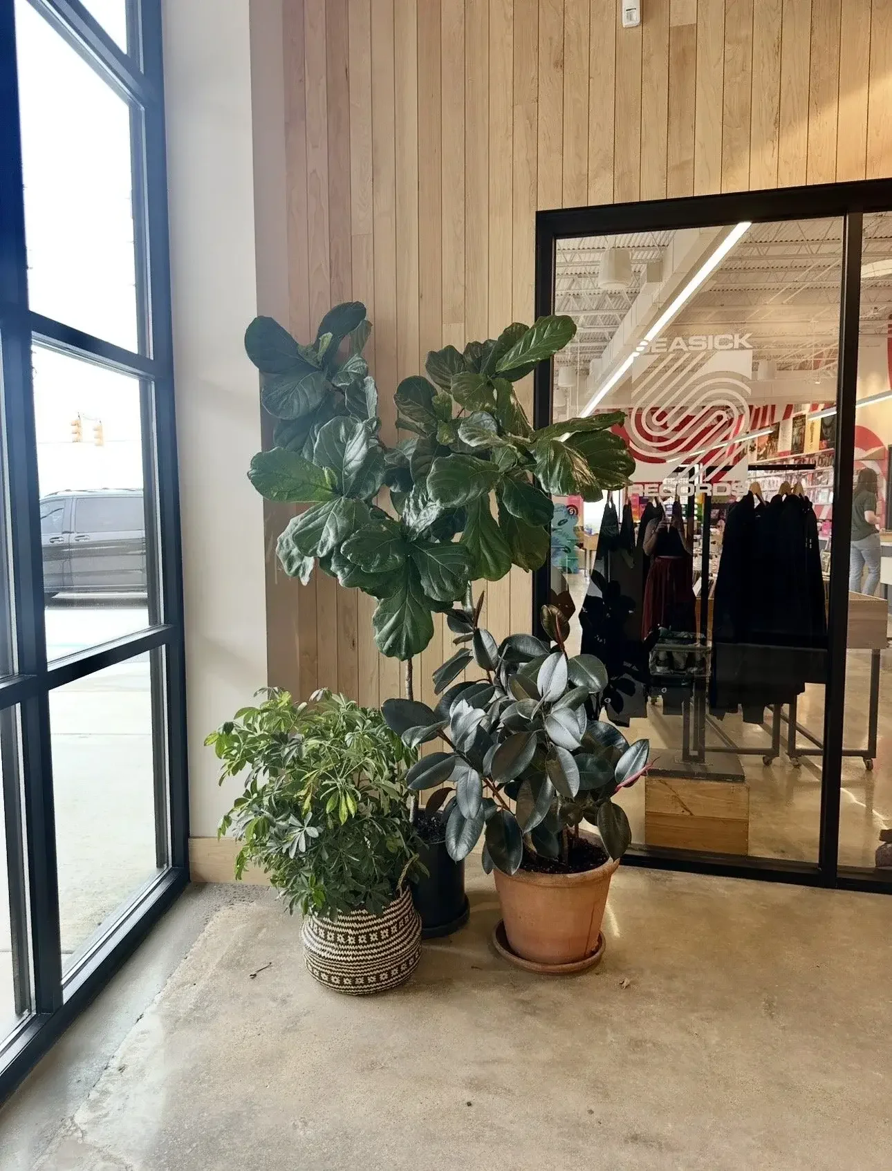 Retail Shop Plant Installation