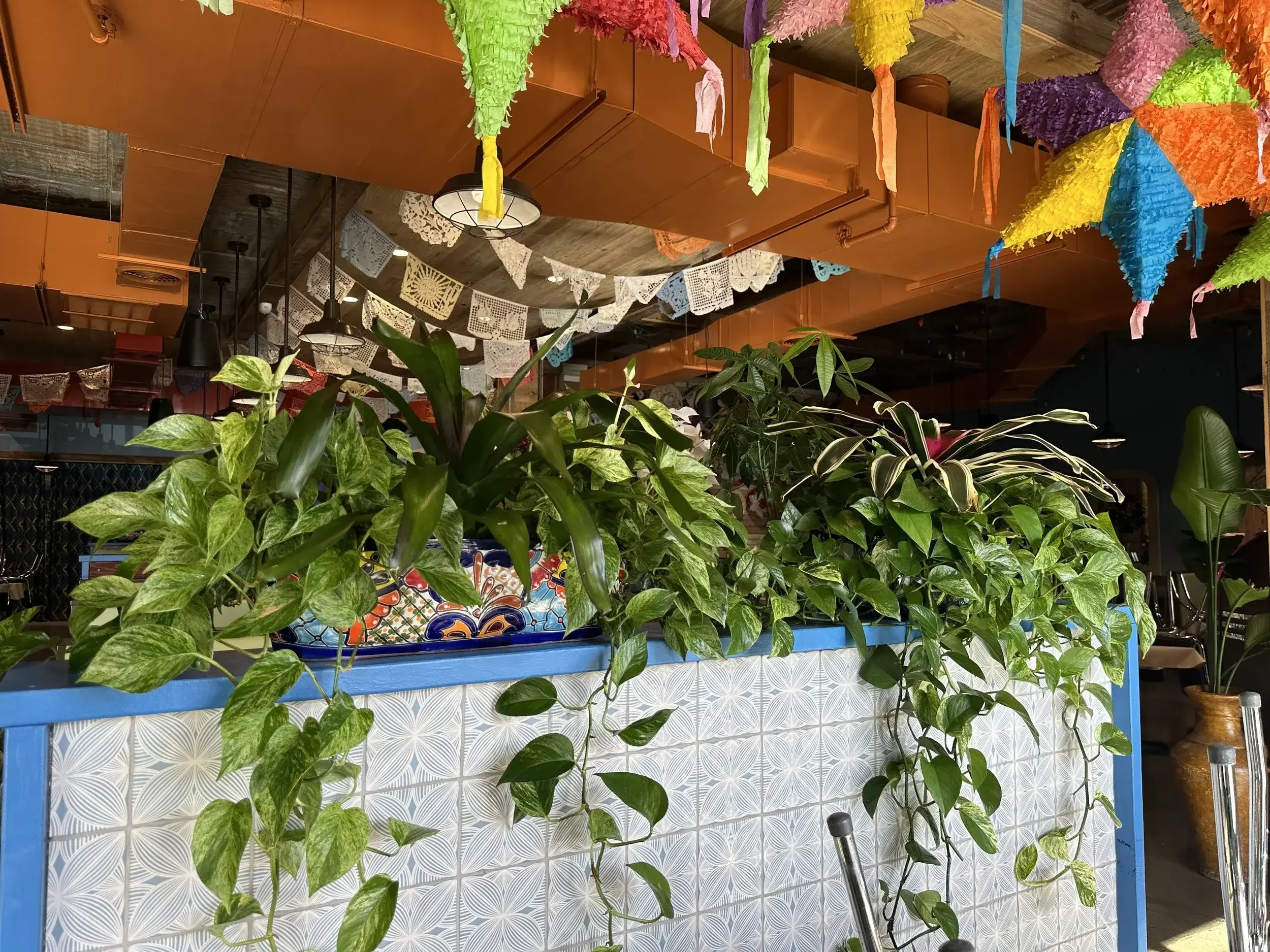 Mexican Restaurant with Interiorscaping