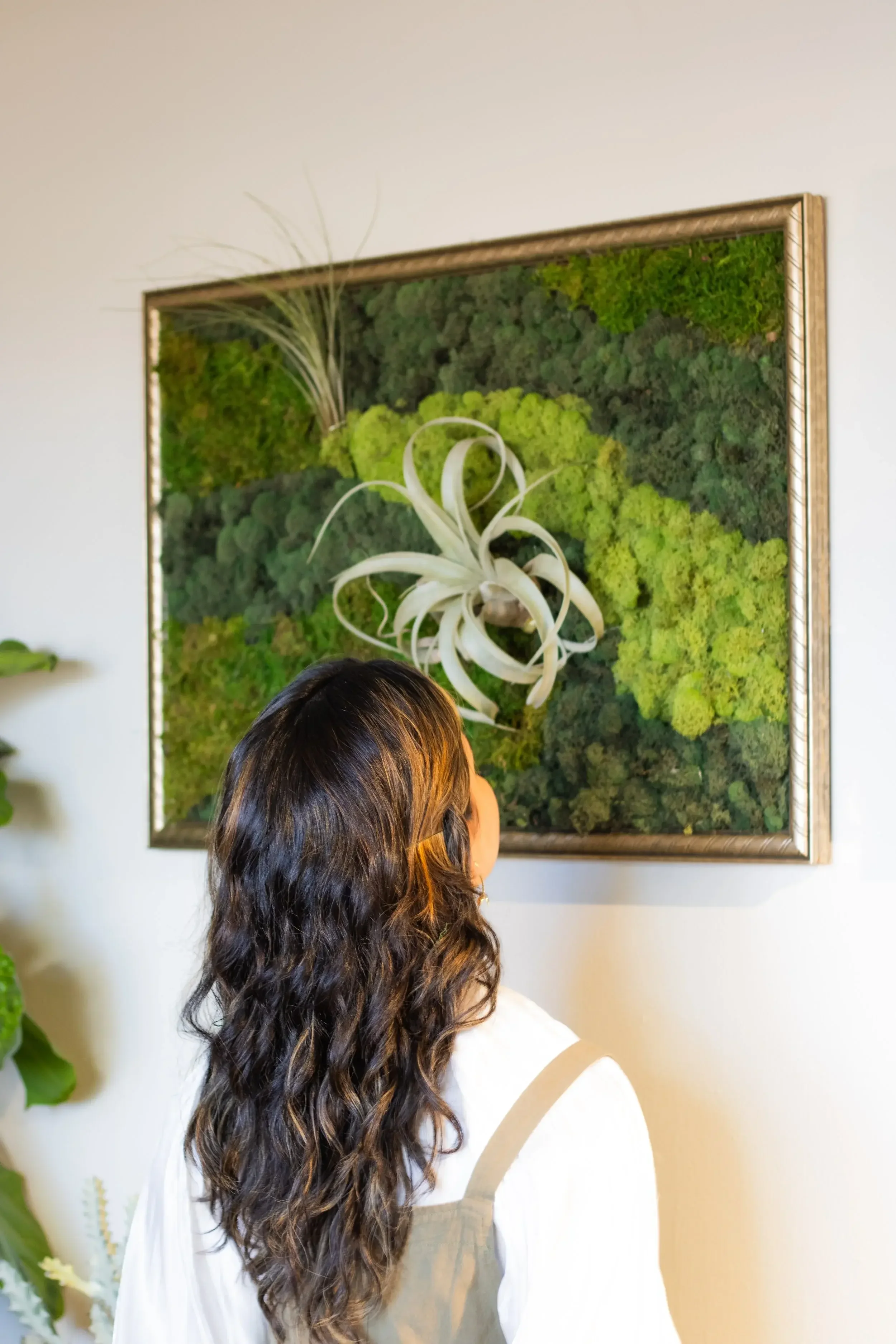 Living Art Walls and Frames for Decor