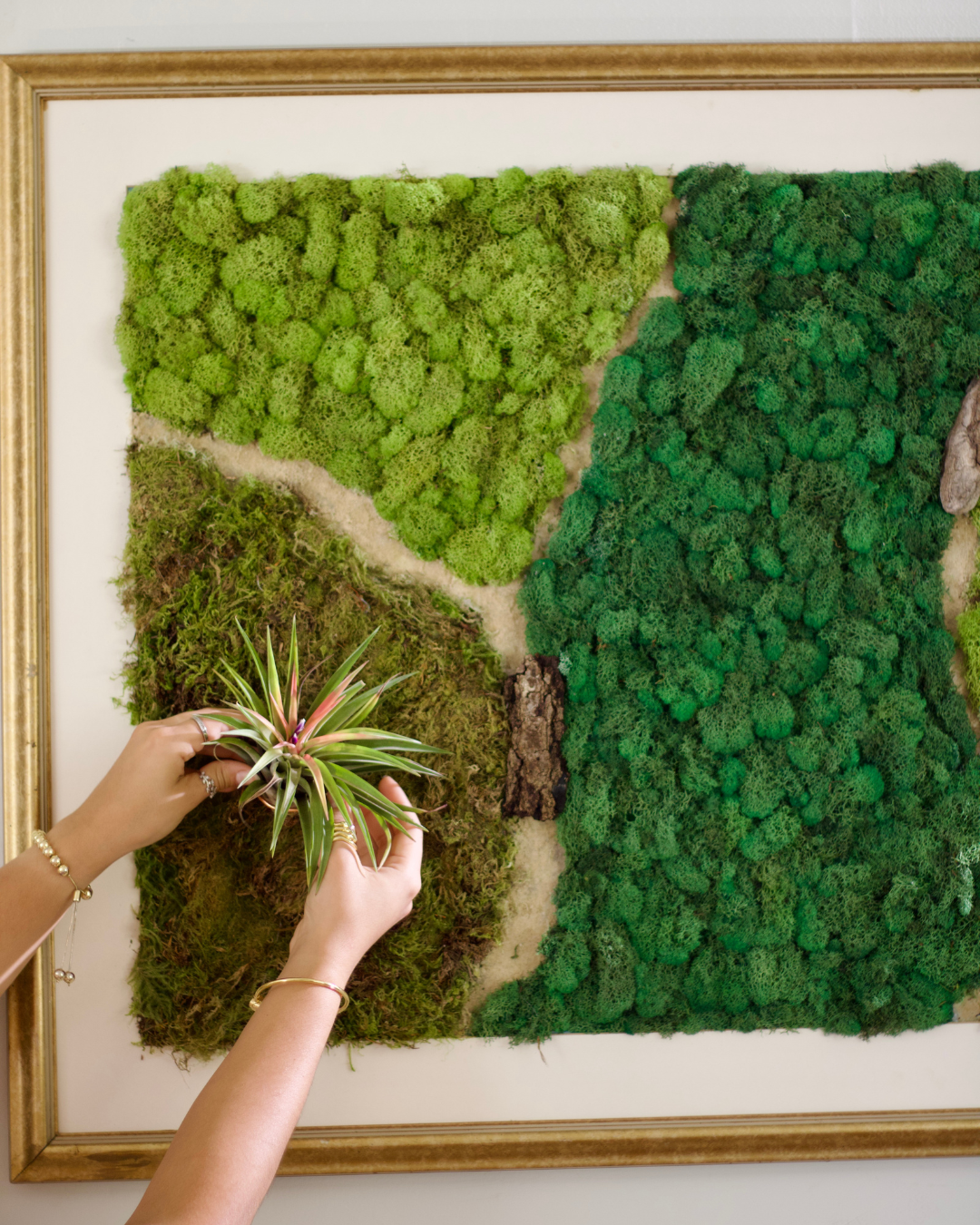 Living Art Frames Ebook | Beginner Guide to Botanical Wall Art