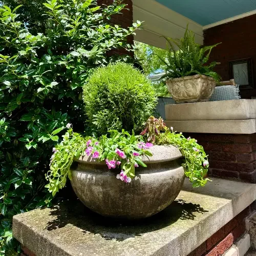 Residential Plant Projects