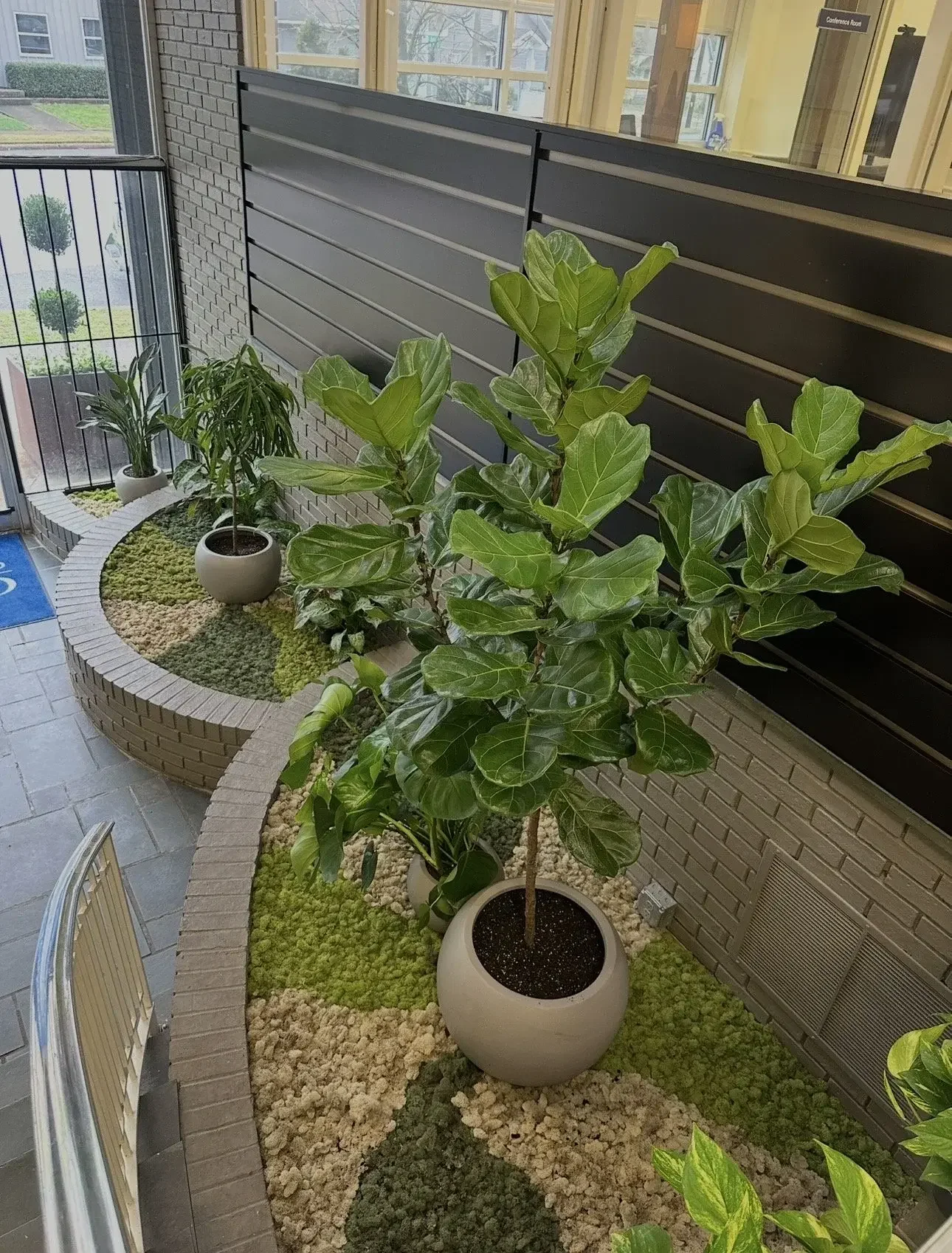 Plant Installation for Office Space