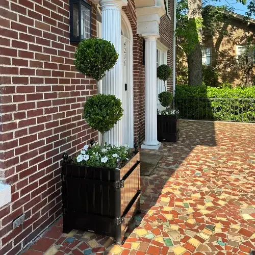 Front Door Plant Decor