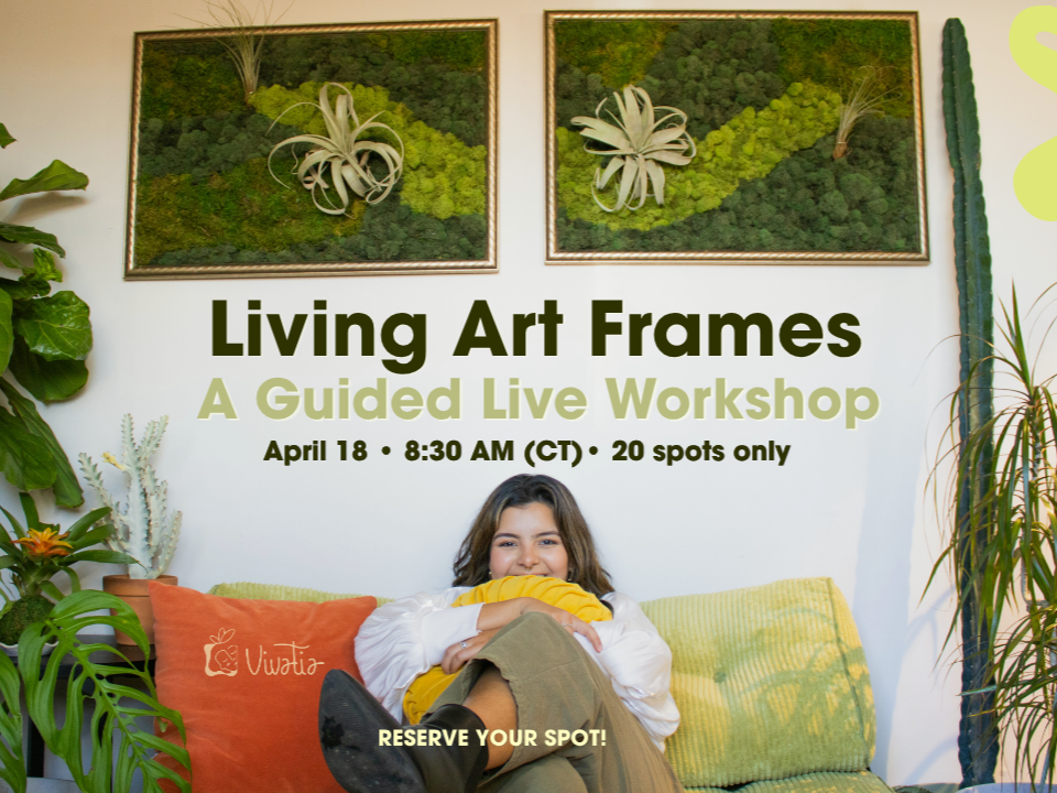 Living+Art+Frames+%284%29.png