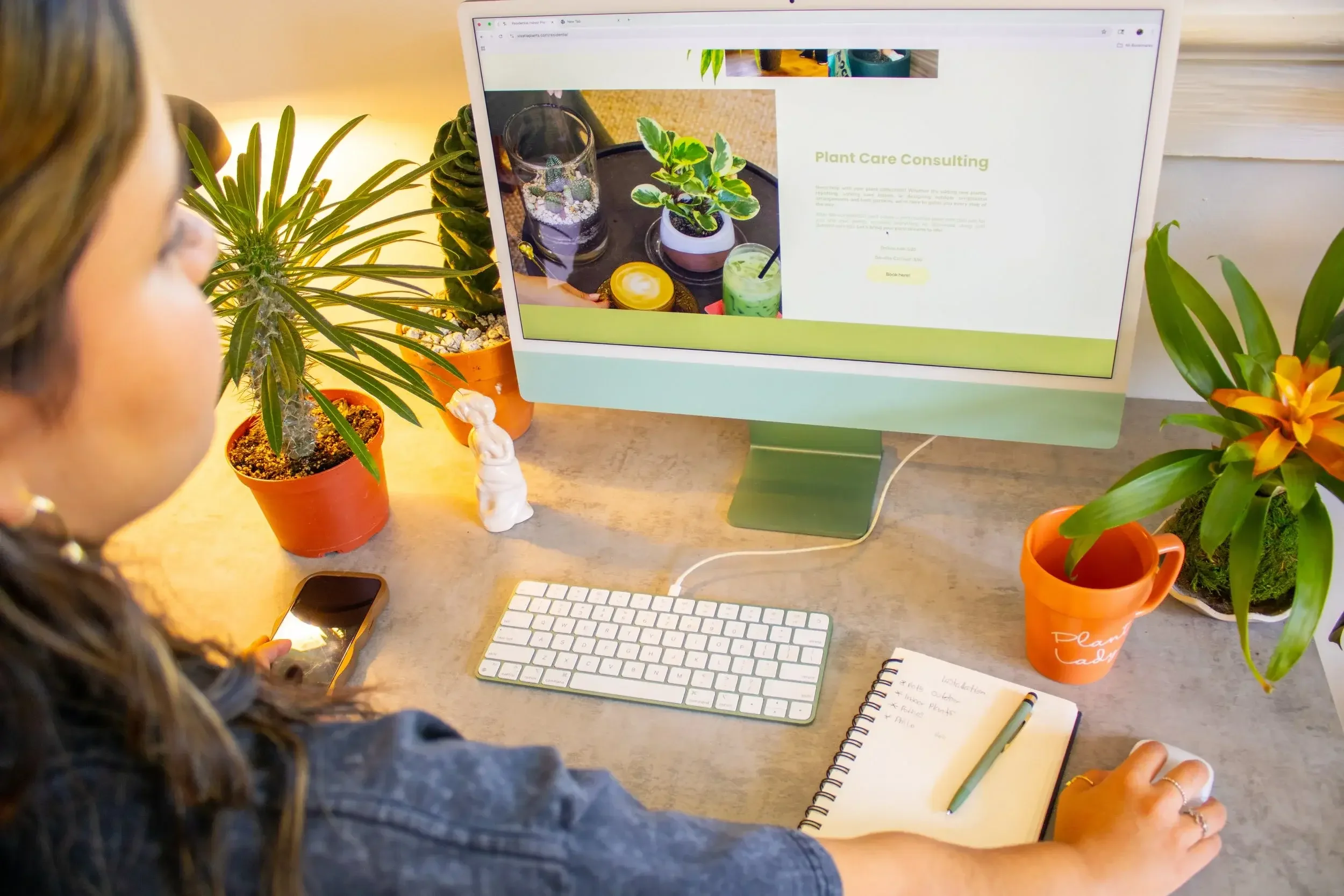 Custom Plant Design for your spaces