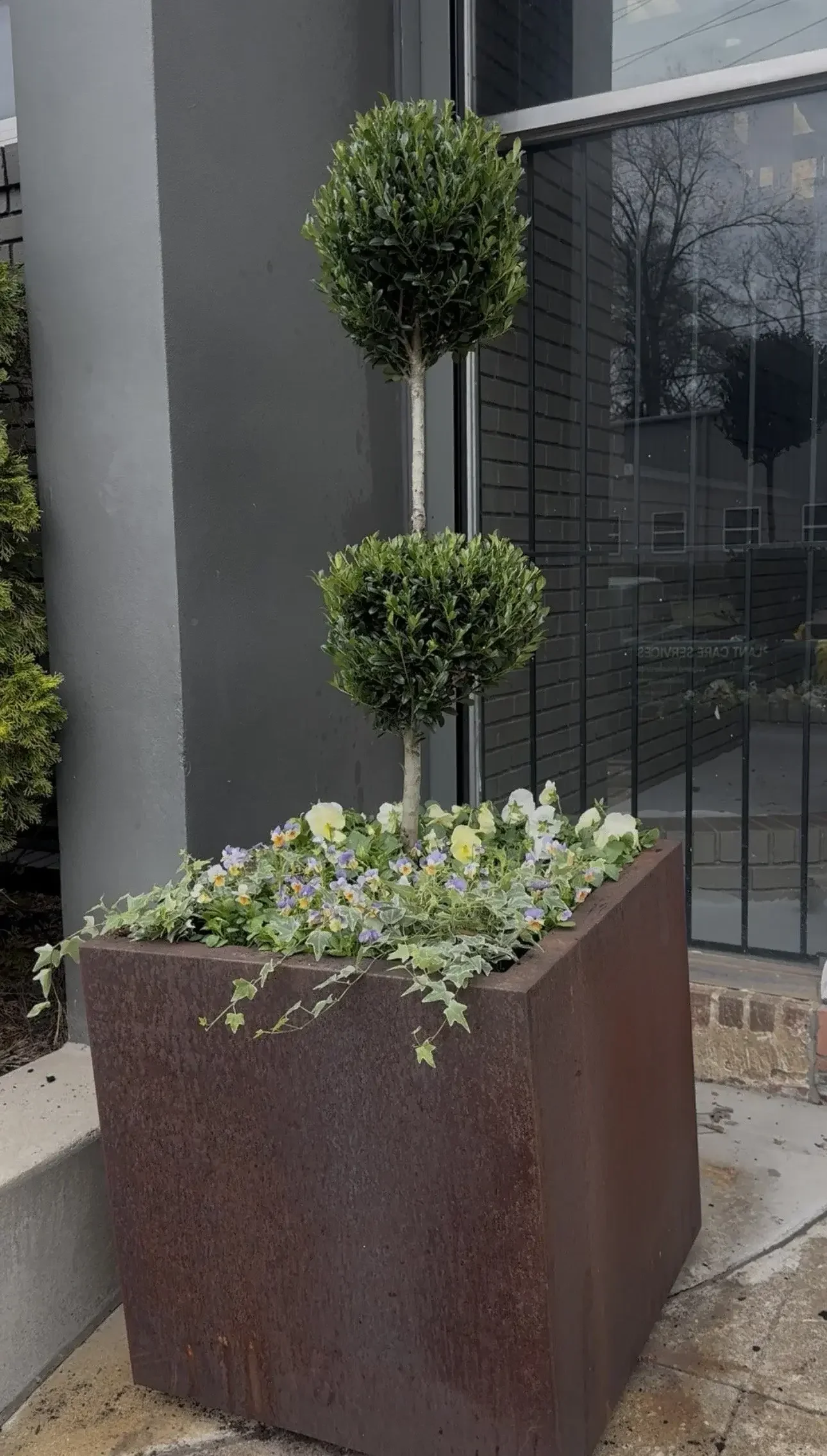 Front Door Business Plant Decor