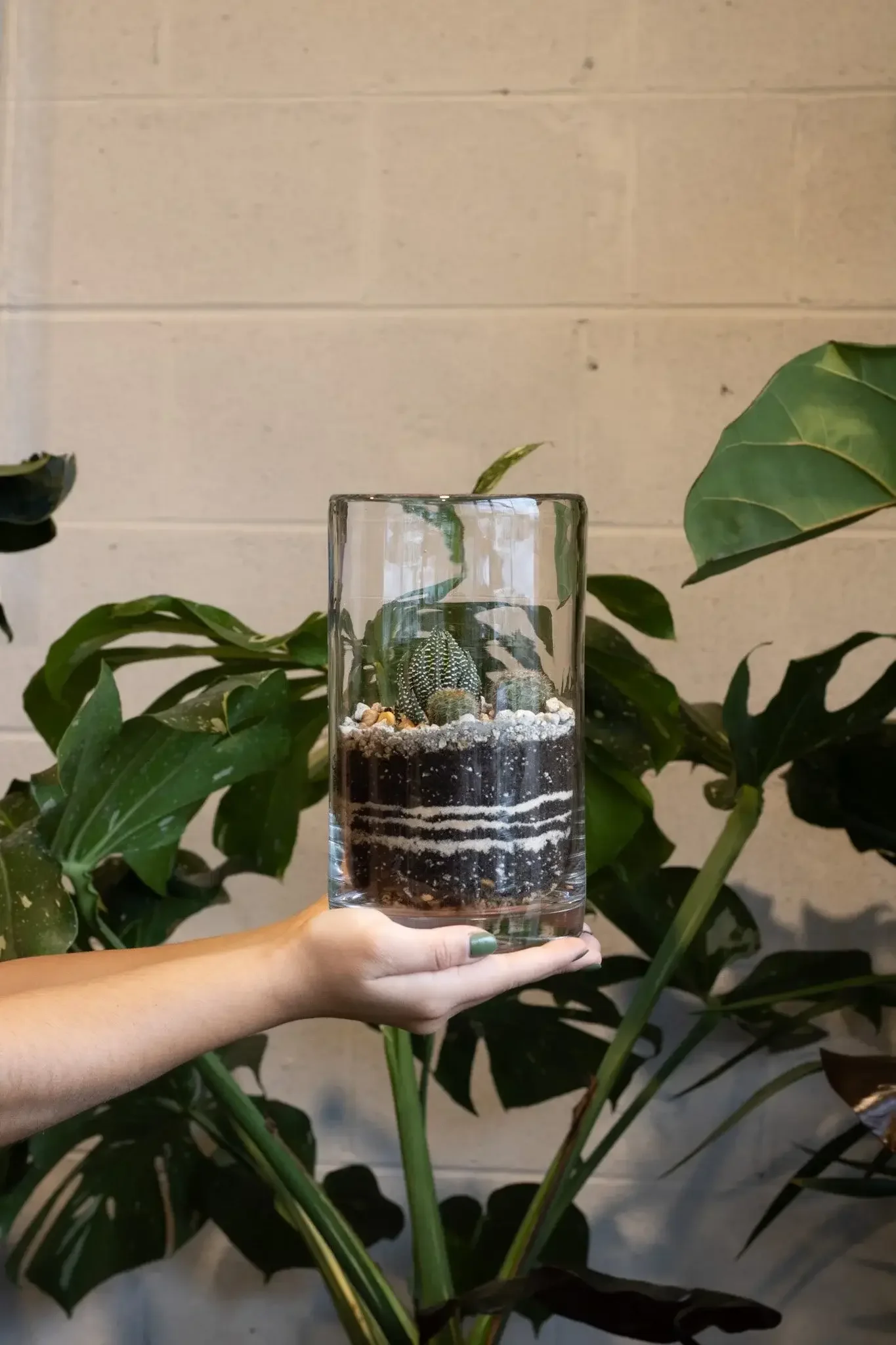 Desert Terrarium Class and Workshop