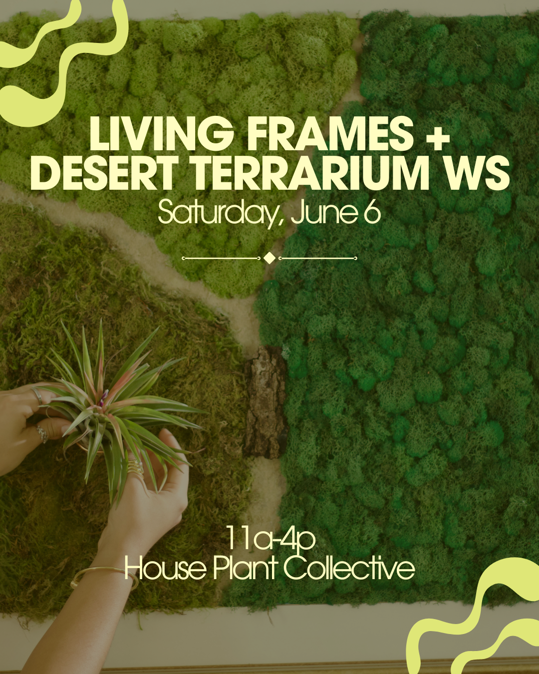 IG Posts, BIG (1).png