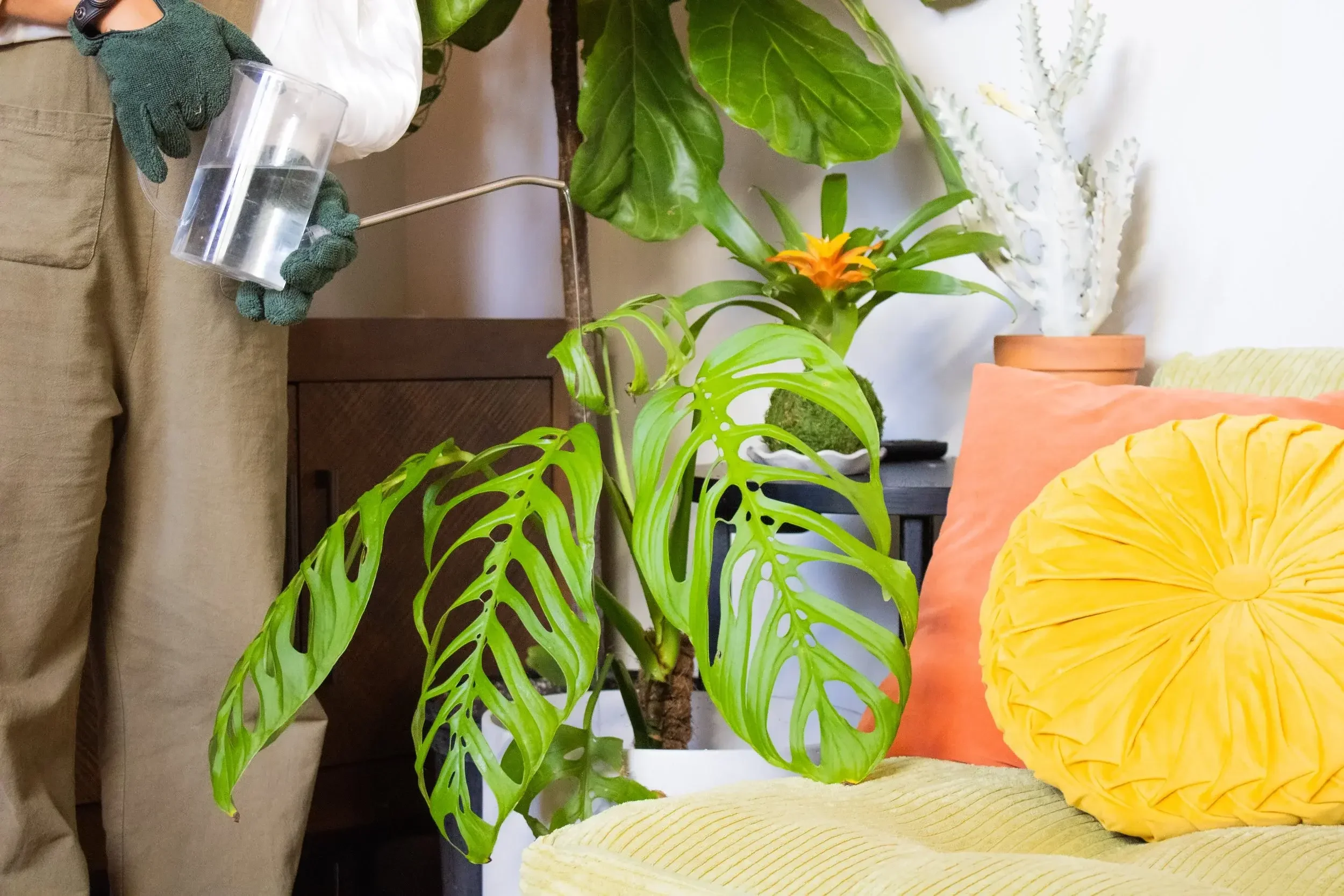 Residential Plant Services