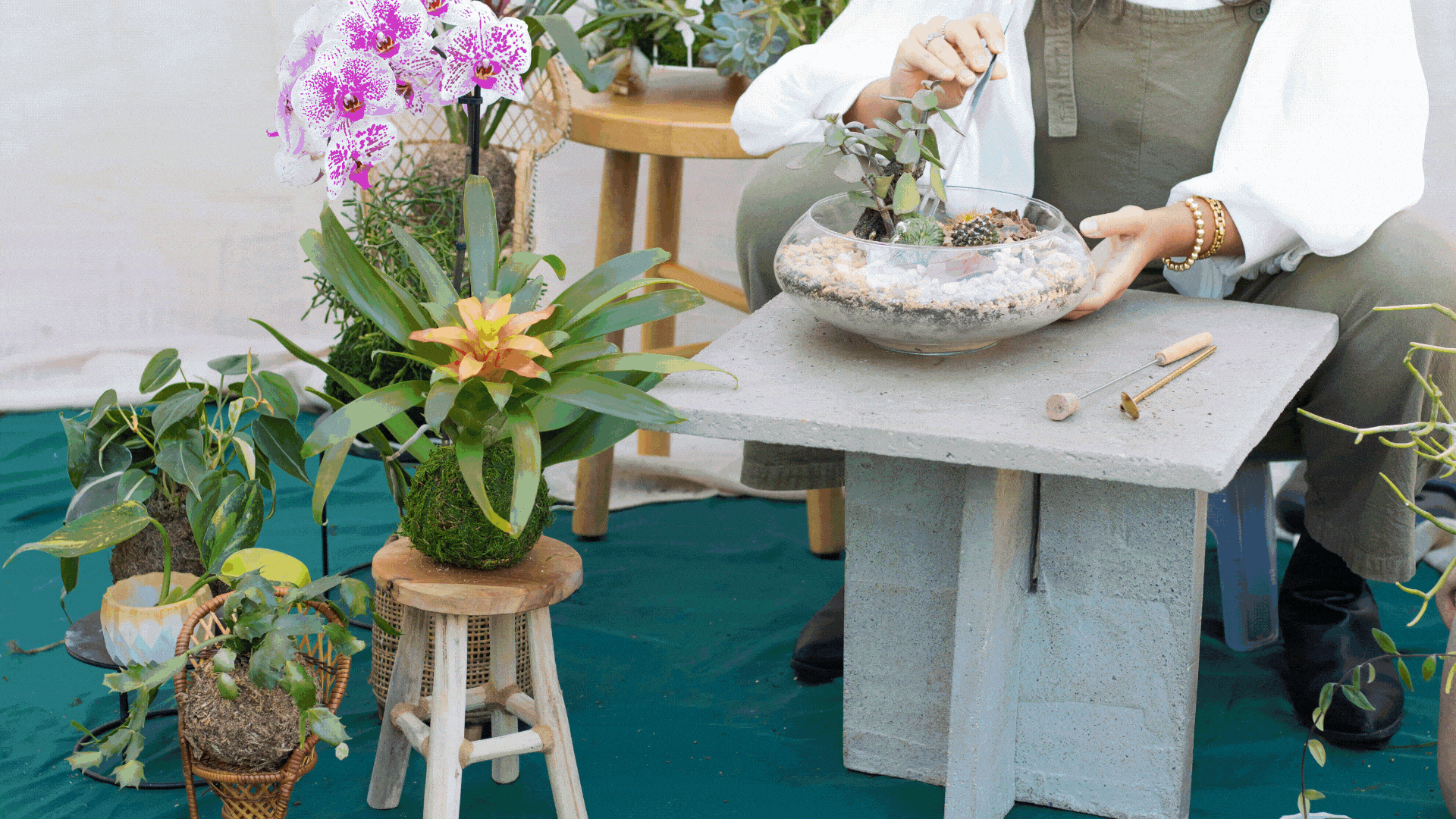Plant and Botanical Workshops like Kokedamas and Terrariums