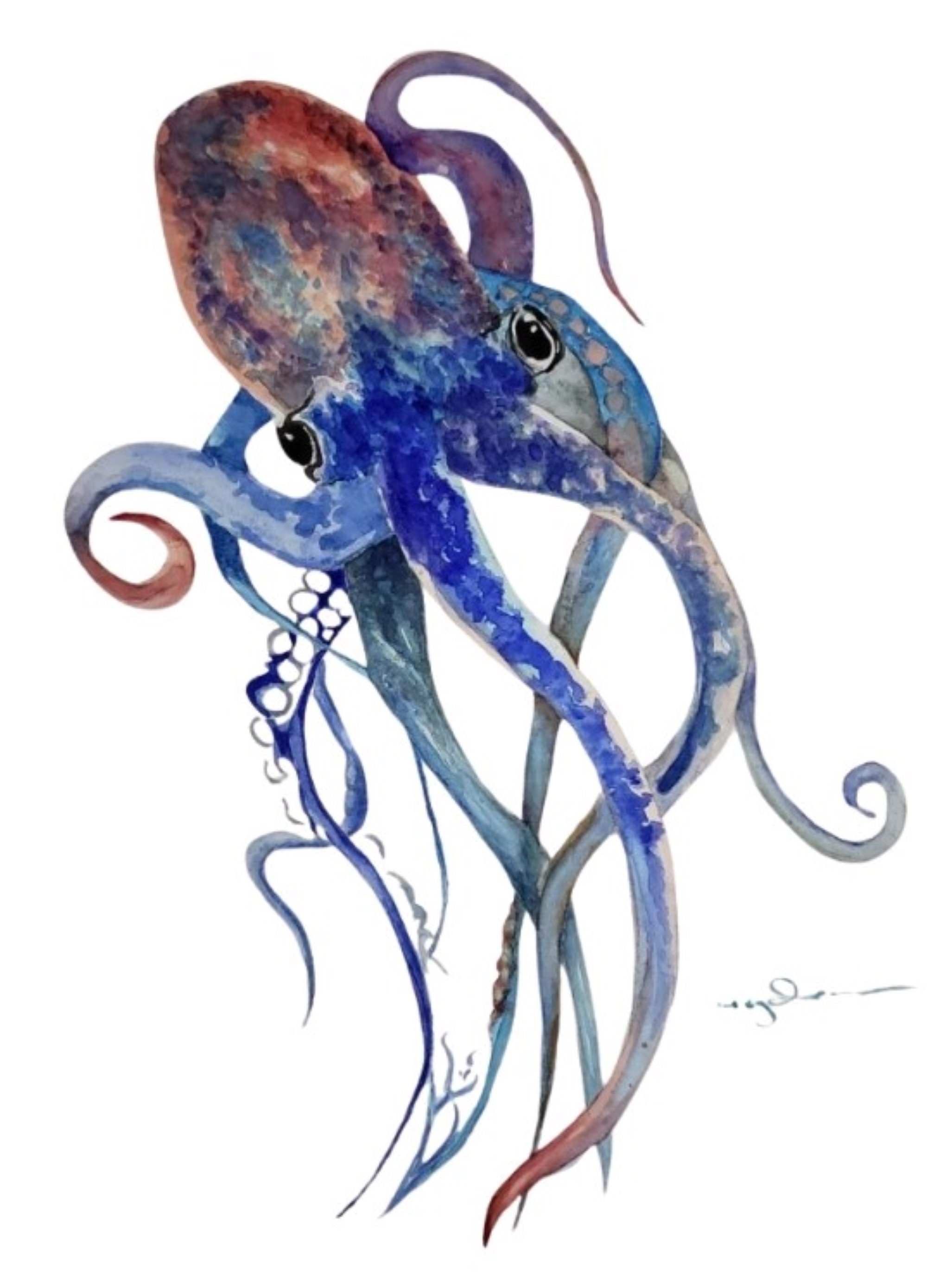 Stainless steel water bottle - Octopus
