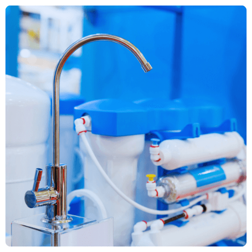 Water purification and filtration system