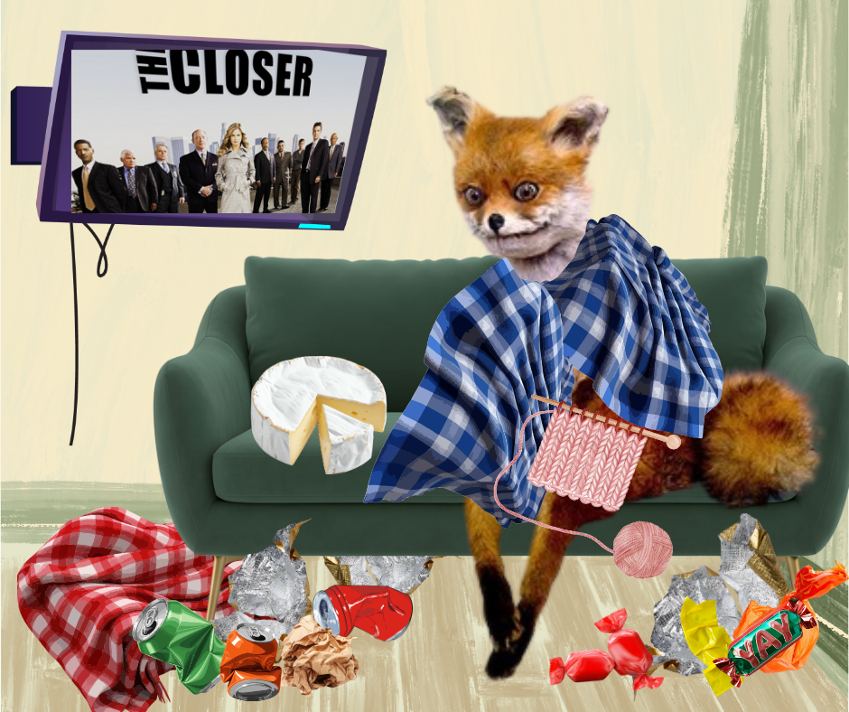 A rough-looking taxidermied fox, wrapped in blankets on a couch, surrounded by candy wrappers, soda cans, and cheese. The fox is knitting while The Closer plays on a TV.