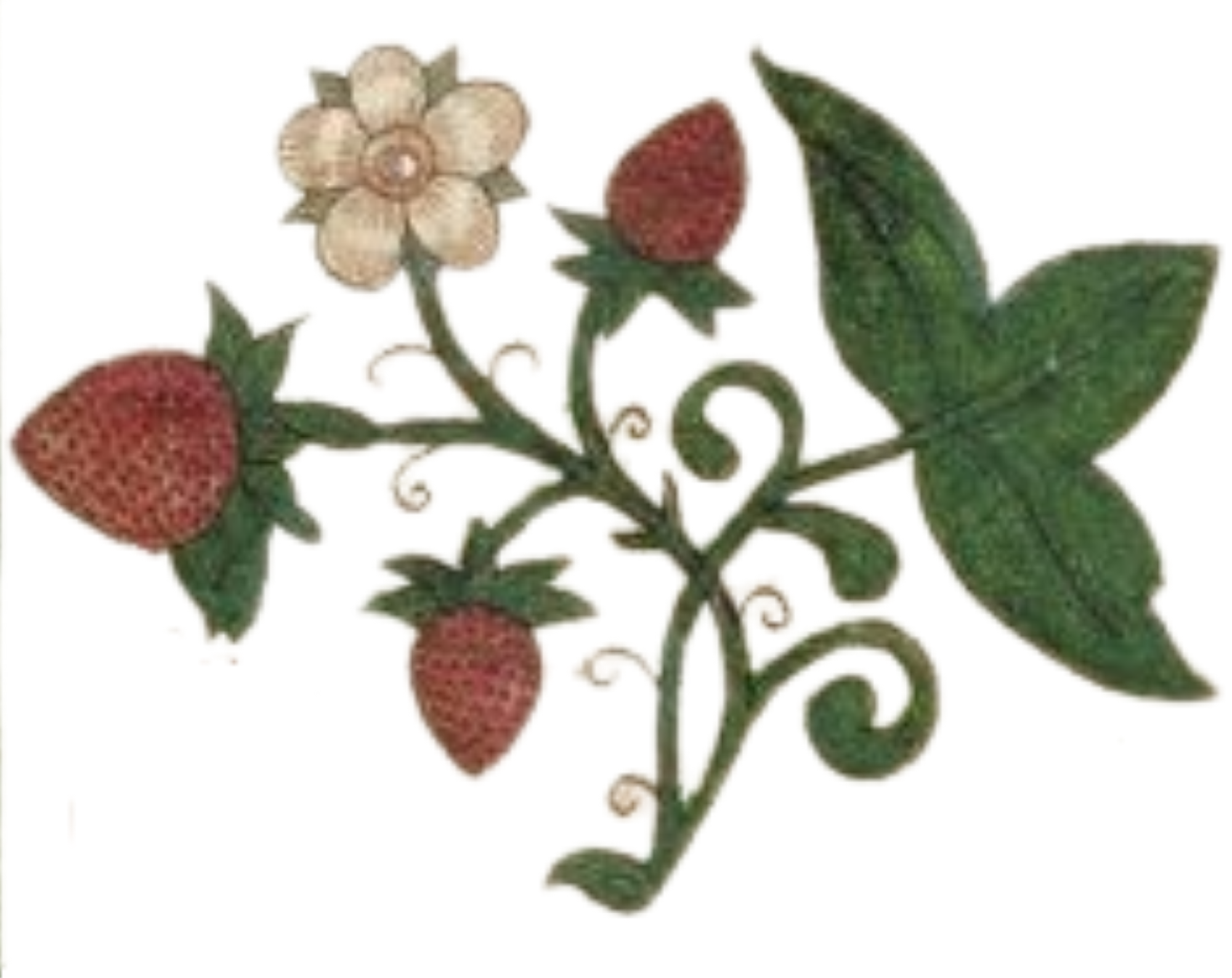 Medieval manuscript illustration of strawberries