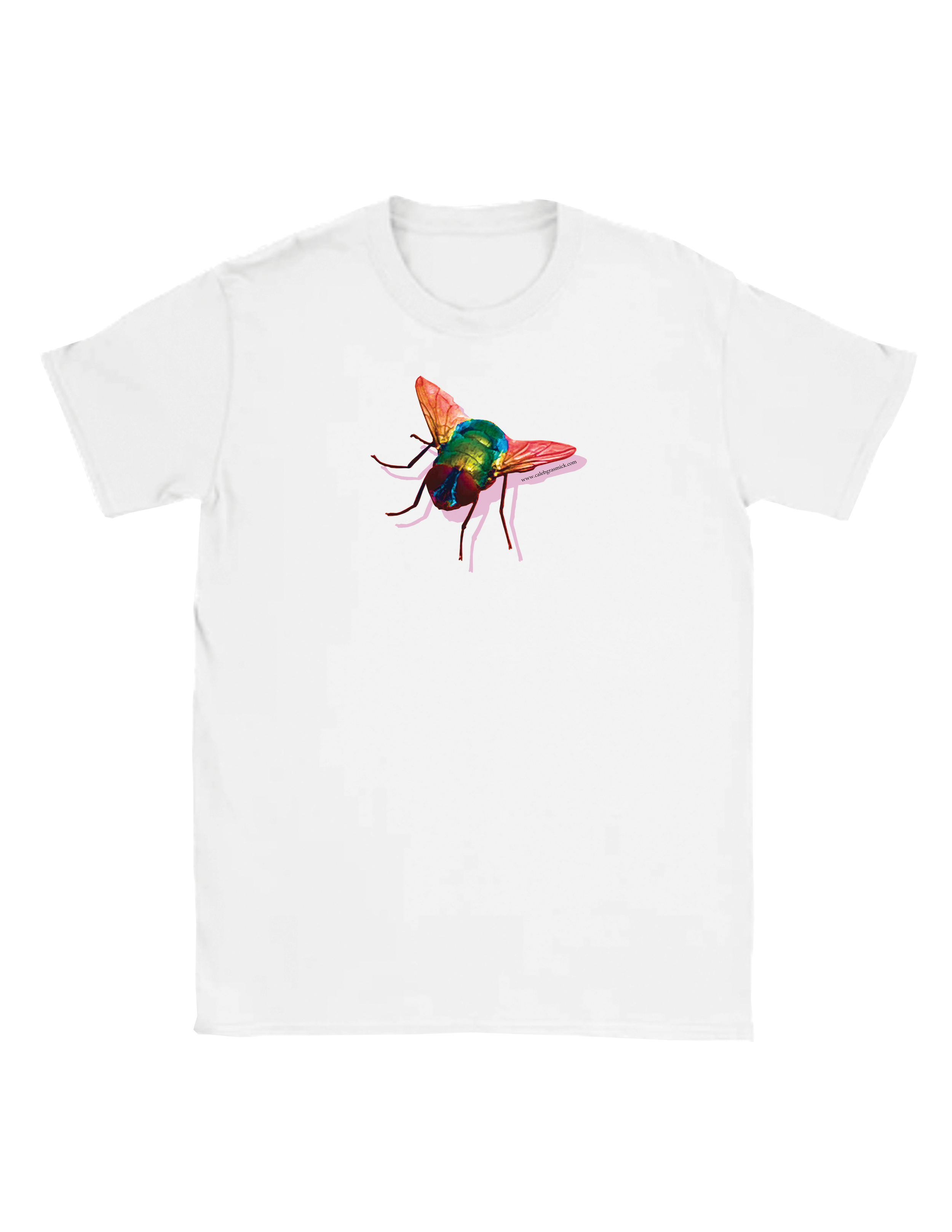 fly_mockup_web.png