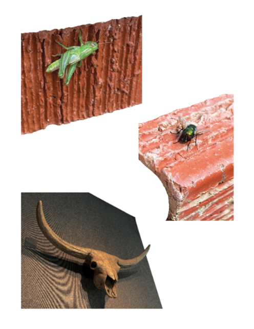 AAB_page_56_compressed.png