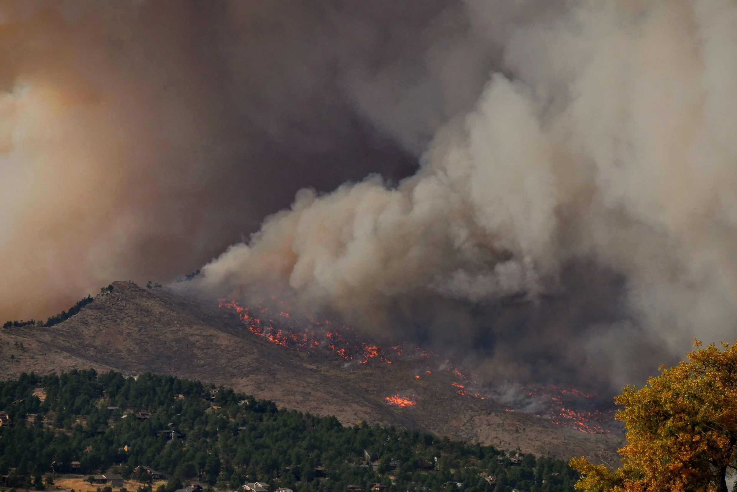 Bonus Episode: The Wildfires & RBG