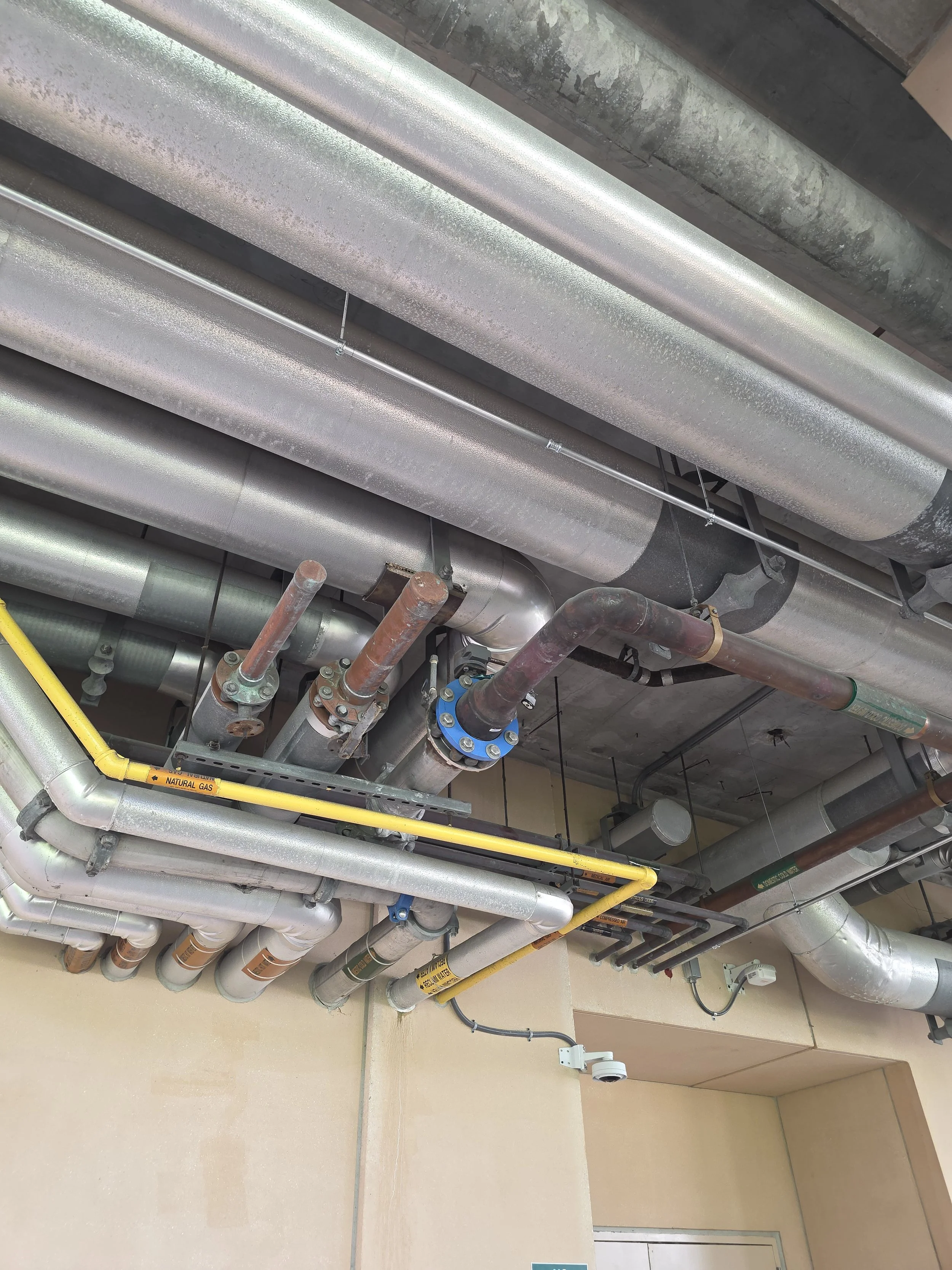 Overhead commercial piping on an OH Plumbing project