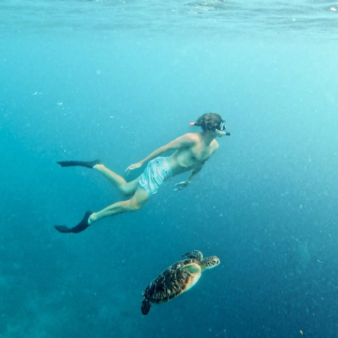 nick & turtle 3.jpg