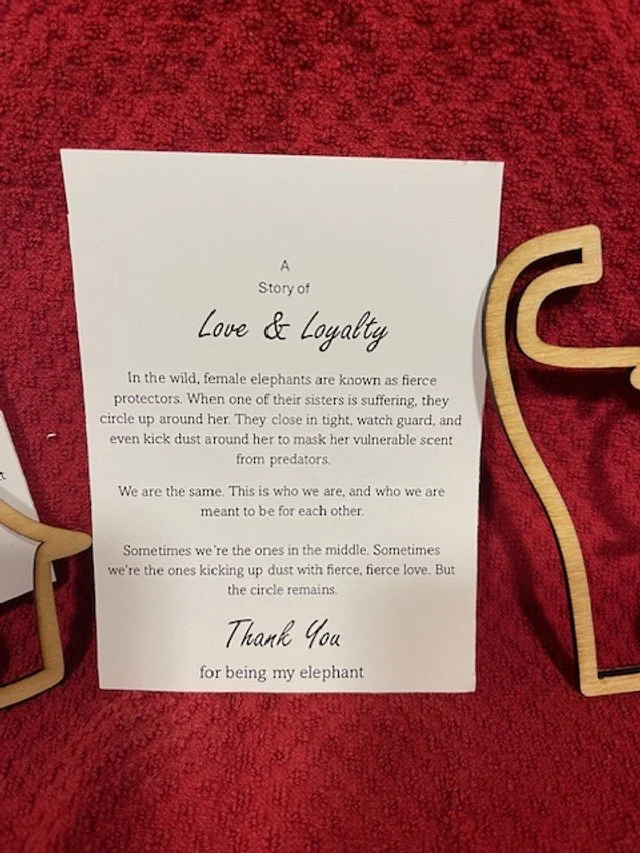 Sister elephant 2.jpeg