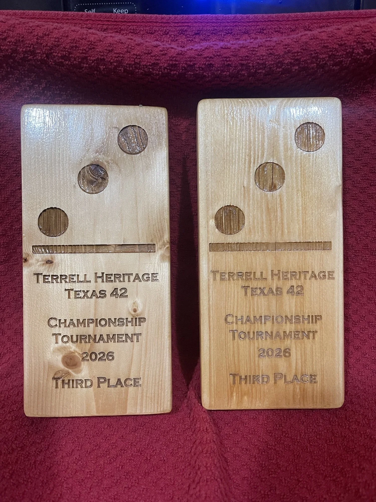 Domino Third place.jpeg