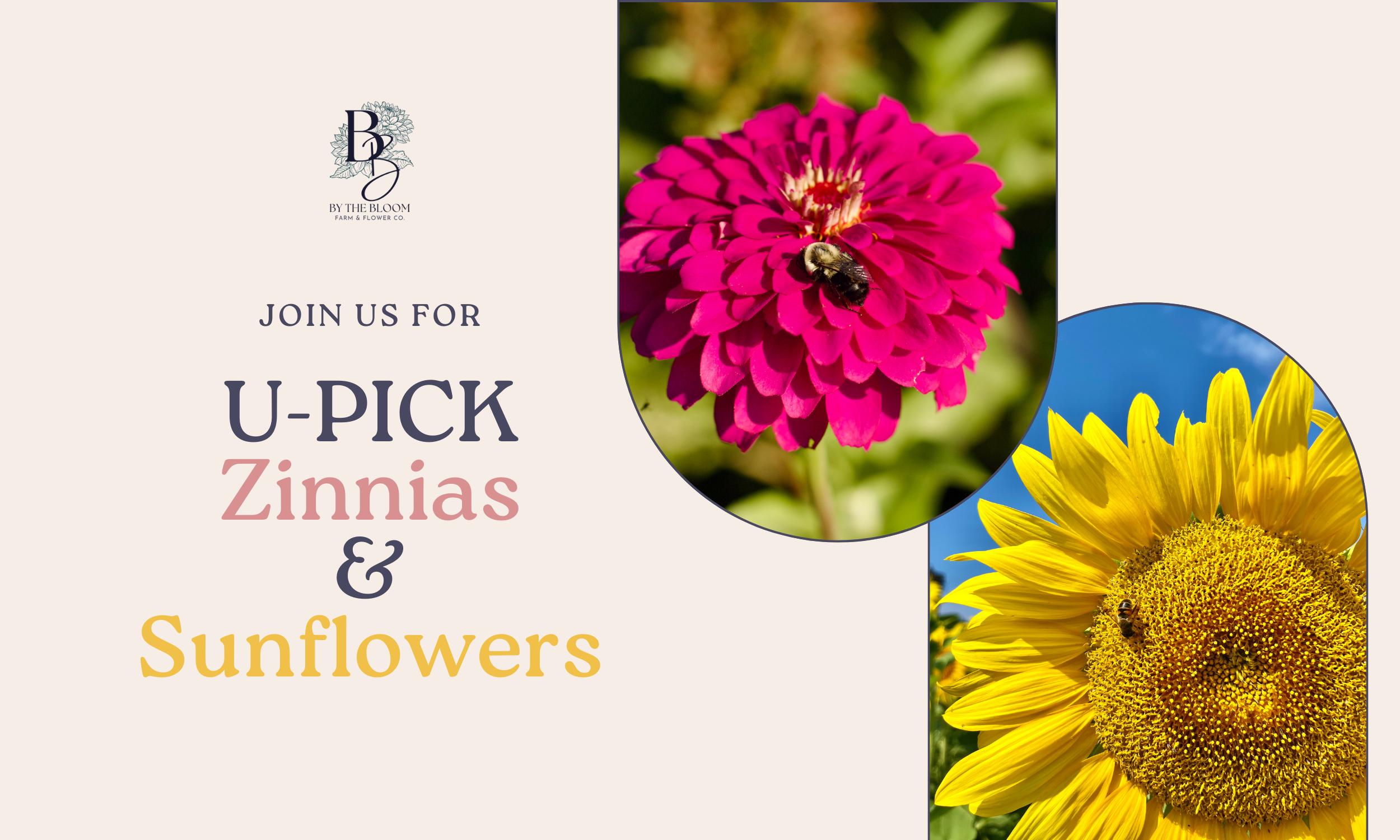 U-Pick Zinnias & Sunflowers
