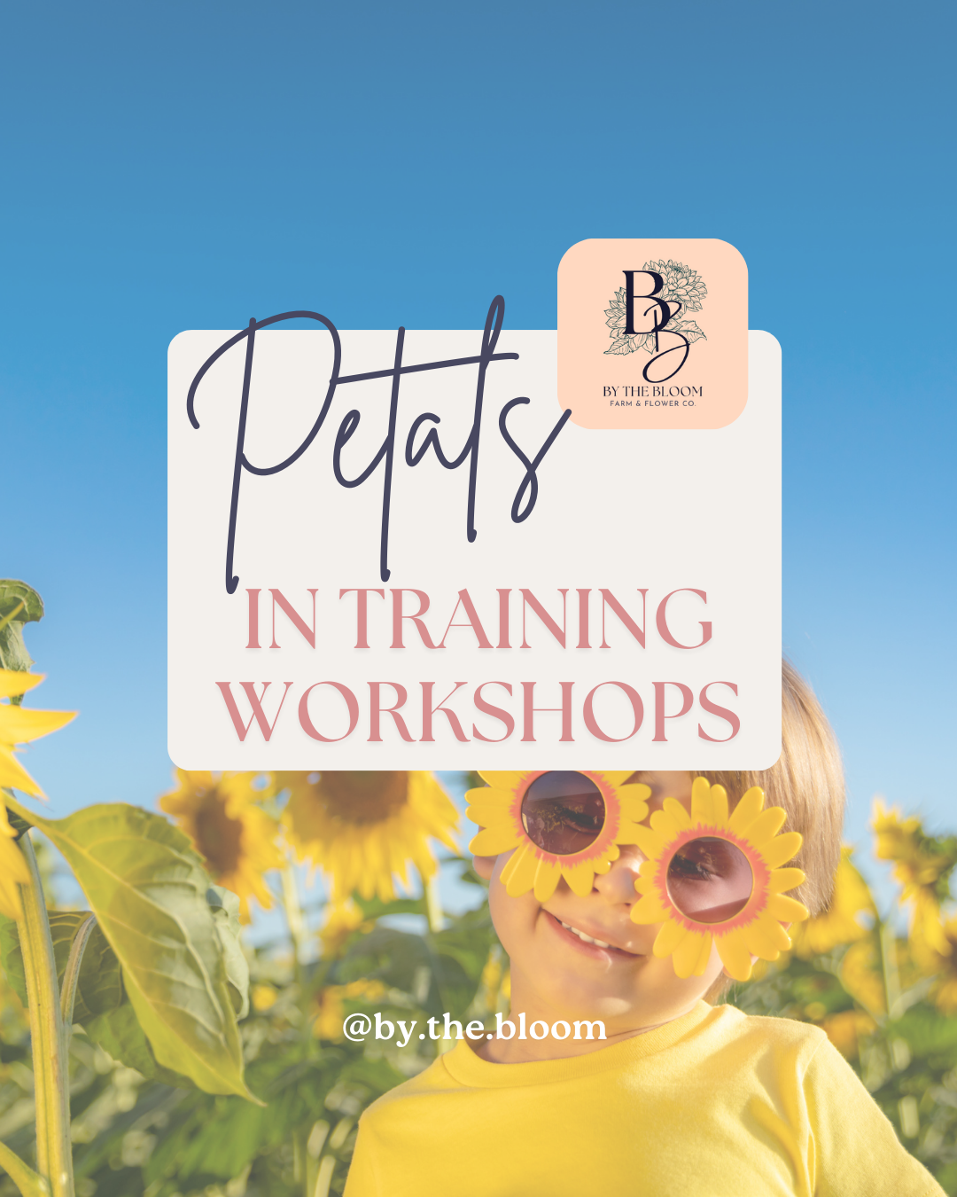 Petals in Training Workshop: Harvest Herb Pots