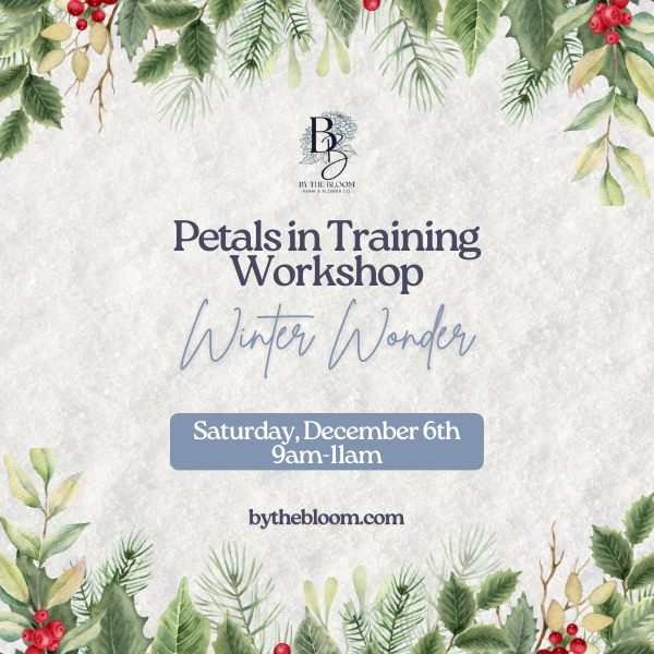 Petals in Training Workshop: Winter Wonder