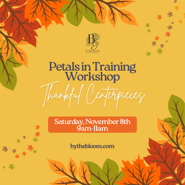 Petals in Training Workshop: Thankful Centerpieces