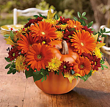 orange pumpkin.png